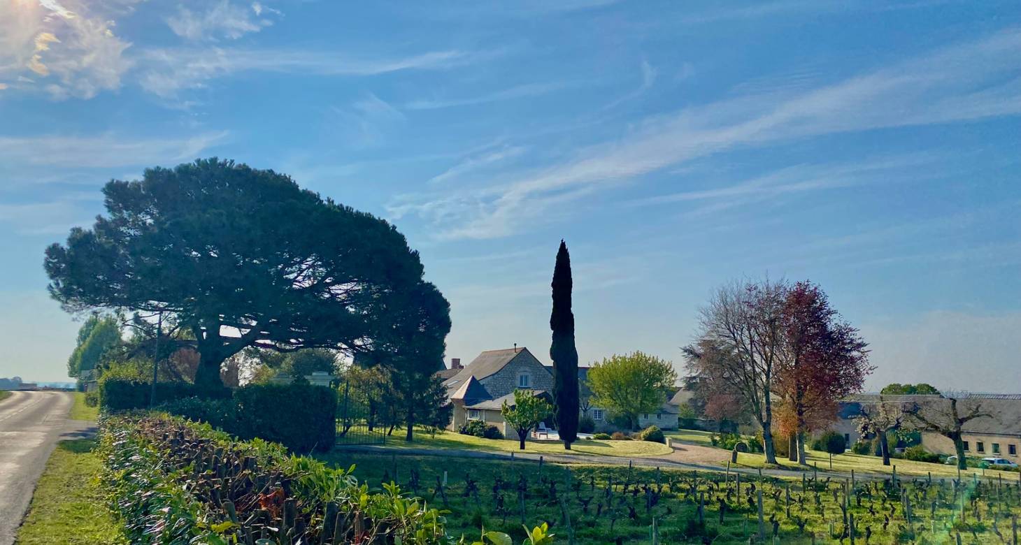 Wine and castle: Uncover the top things to do in Chinon France - 2026 - 20 - things to do in chinon france things to do in chinon france - Wine and castle: Uncover the top things to do in Chinon France - 2026 - 19