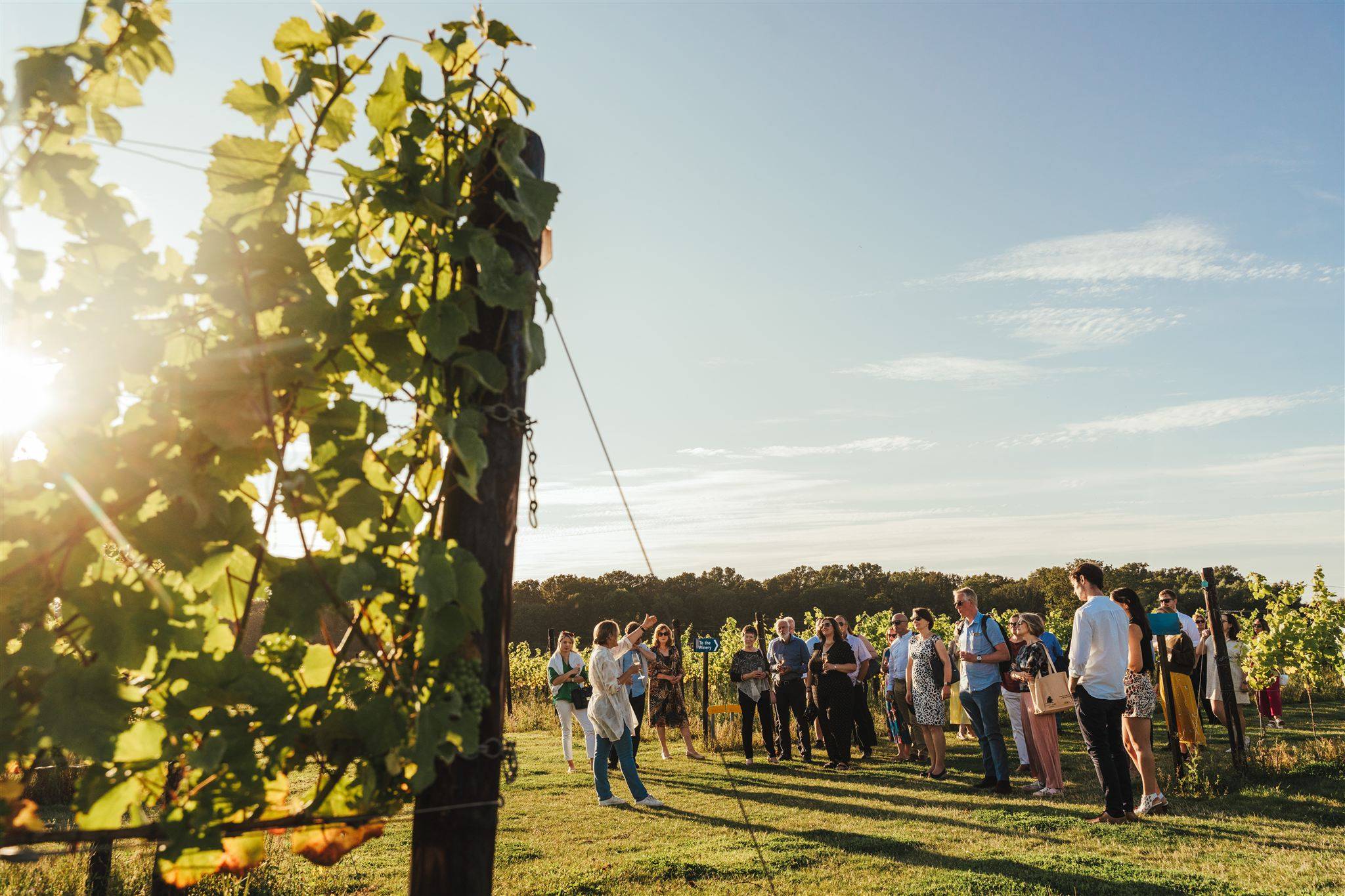 Tour & Tasting Experience (Friday to Sunday)