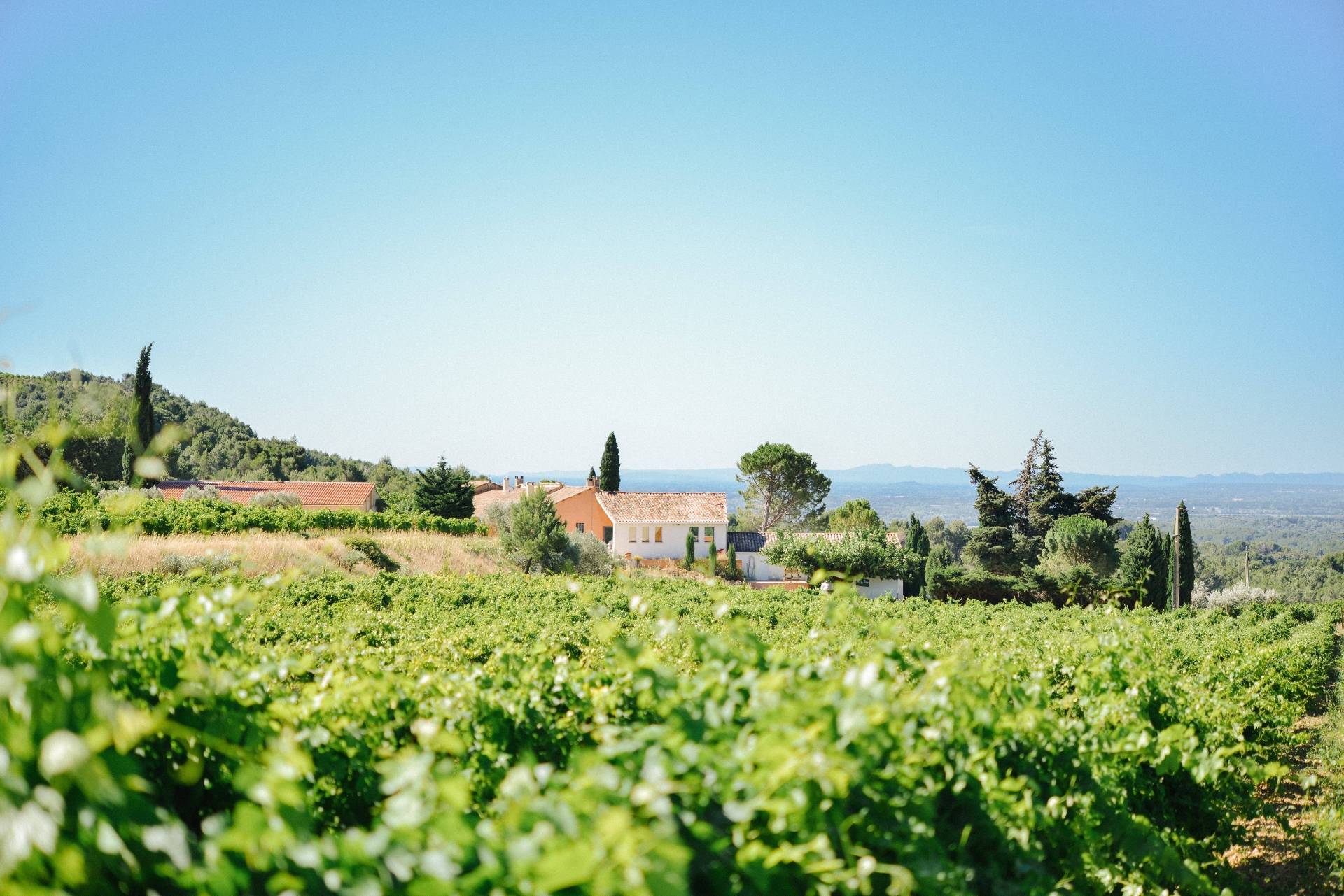 Clos de Caveau - Winalist