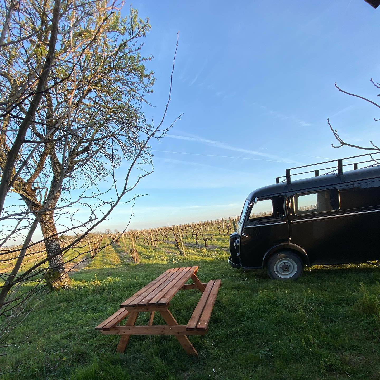 Visita/Degustazione/Picnic nei vigneti