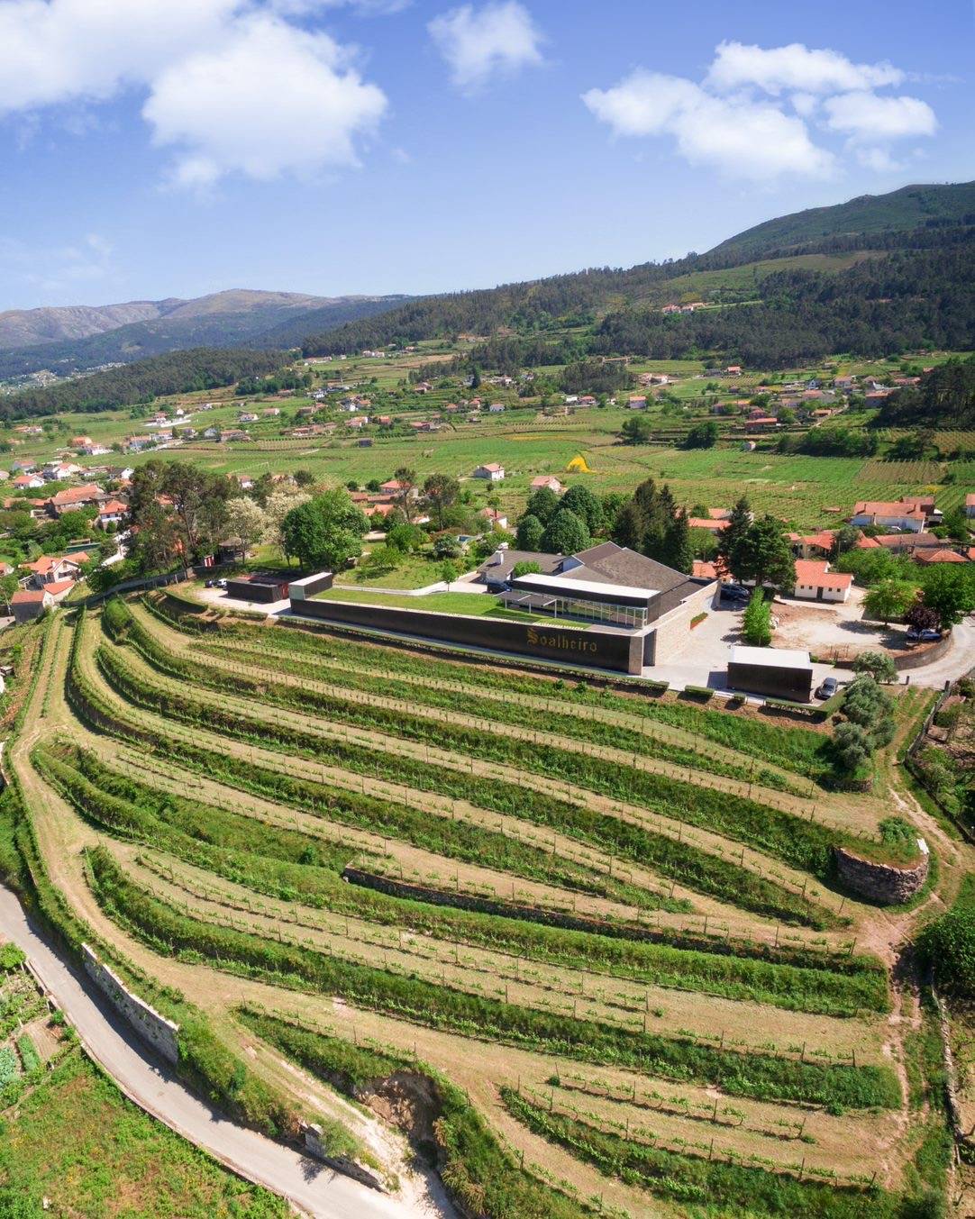  Monção & Melgaço | Alvarinho | Vinho Verde DOC - We Want Green  - Winalist