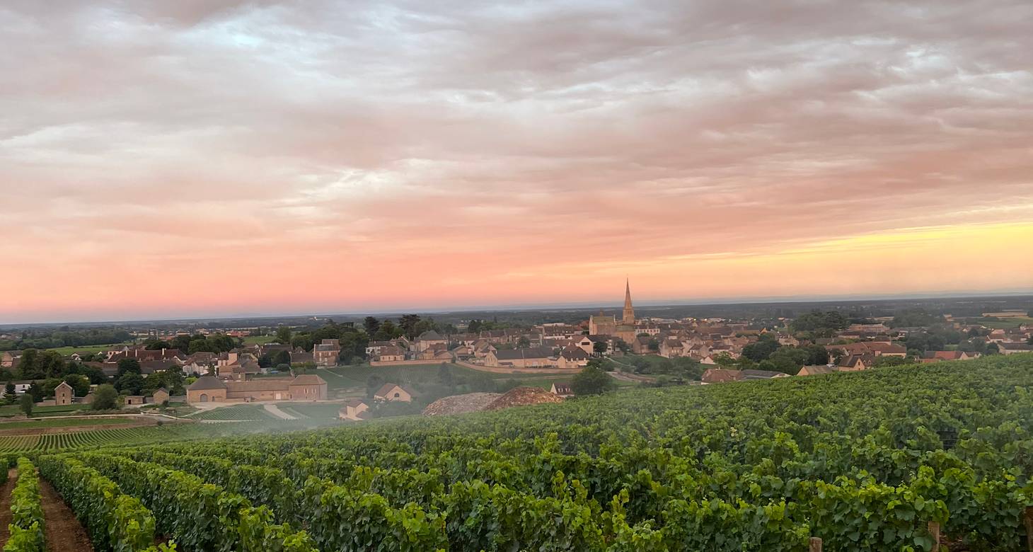 Visiter la Bourgogne en 3 jours : les incontournables - 2026 - 12 - week end en bourgogne,visiter la bourgogne en 3 jours week end en bourgogne,visiter la bourgogne en 3 jours - Visiter la Bourgogne en 3 jours : les incontournables - 2026 - 11