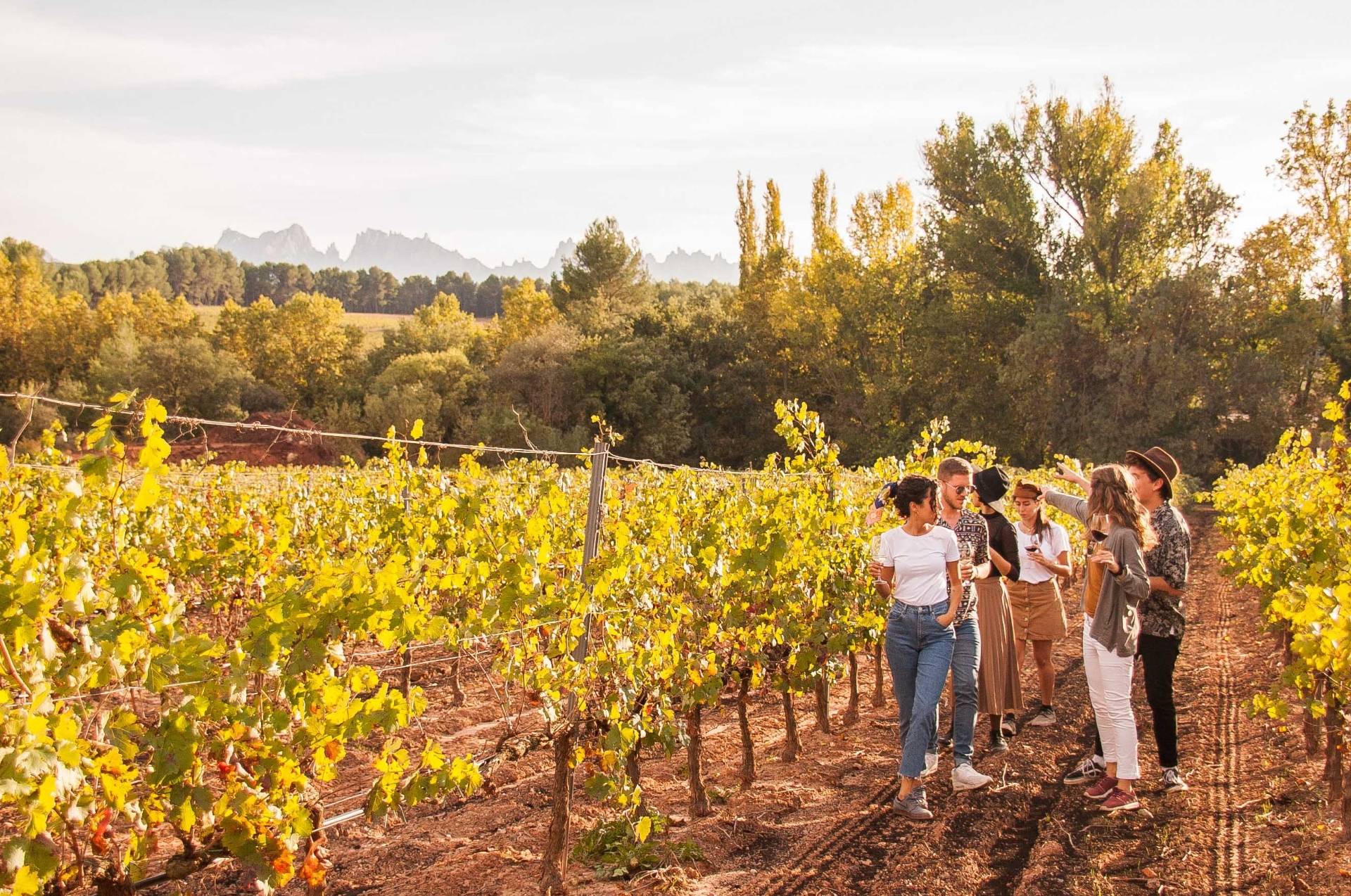 Castlexperience | Wine Tours - Winalist