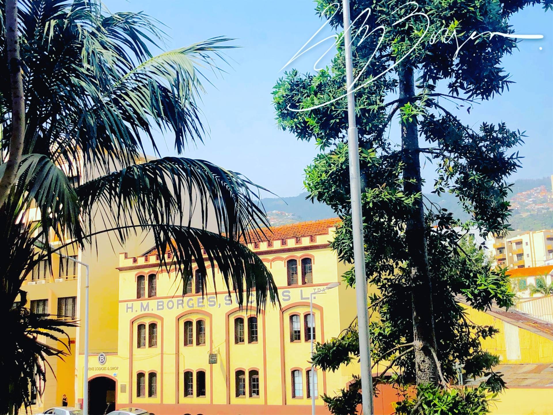 H.M.Borges - Winalist