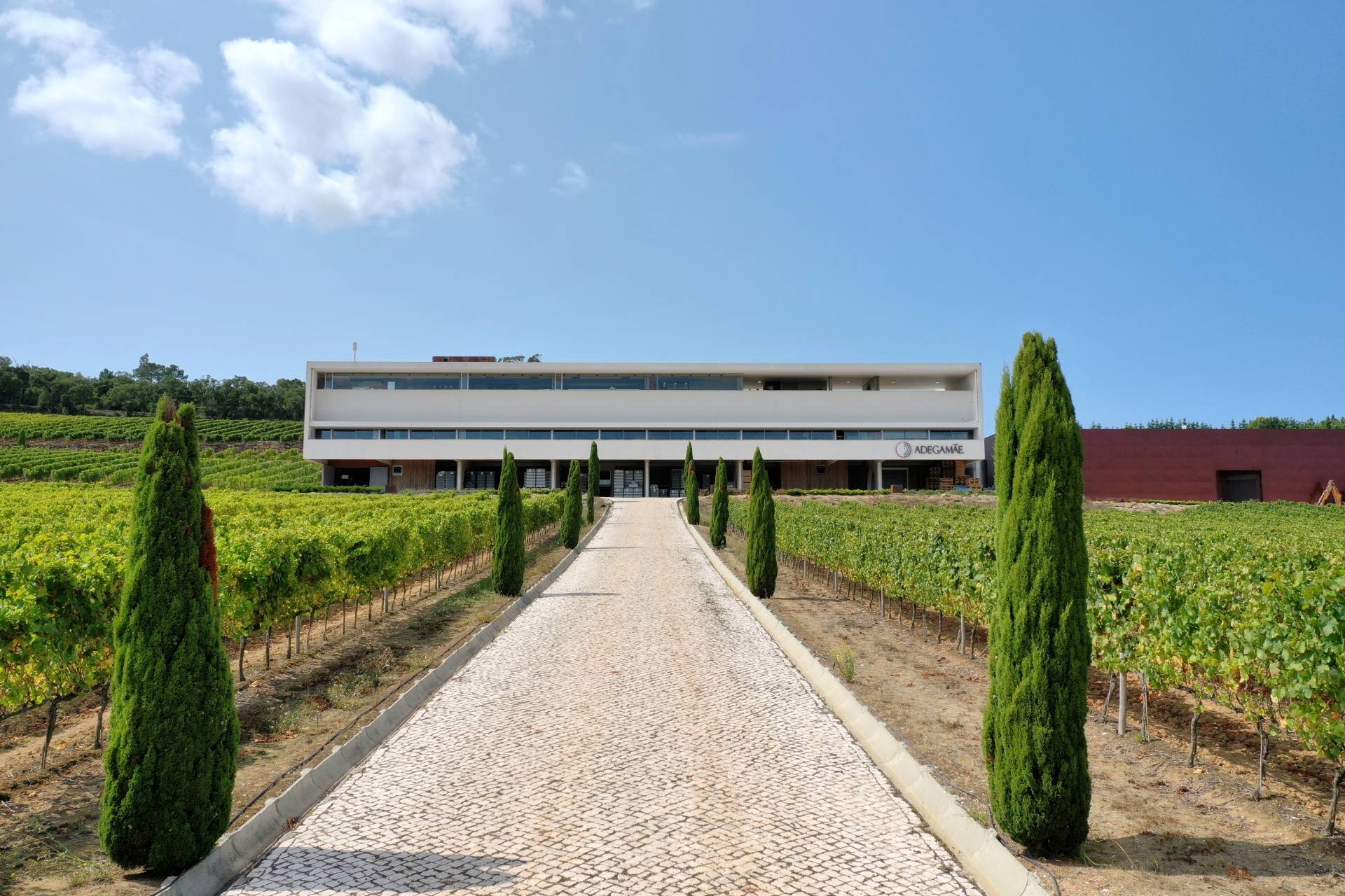 AdegaMãe  - Winalist