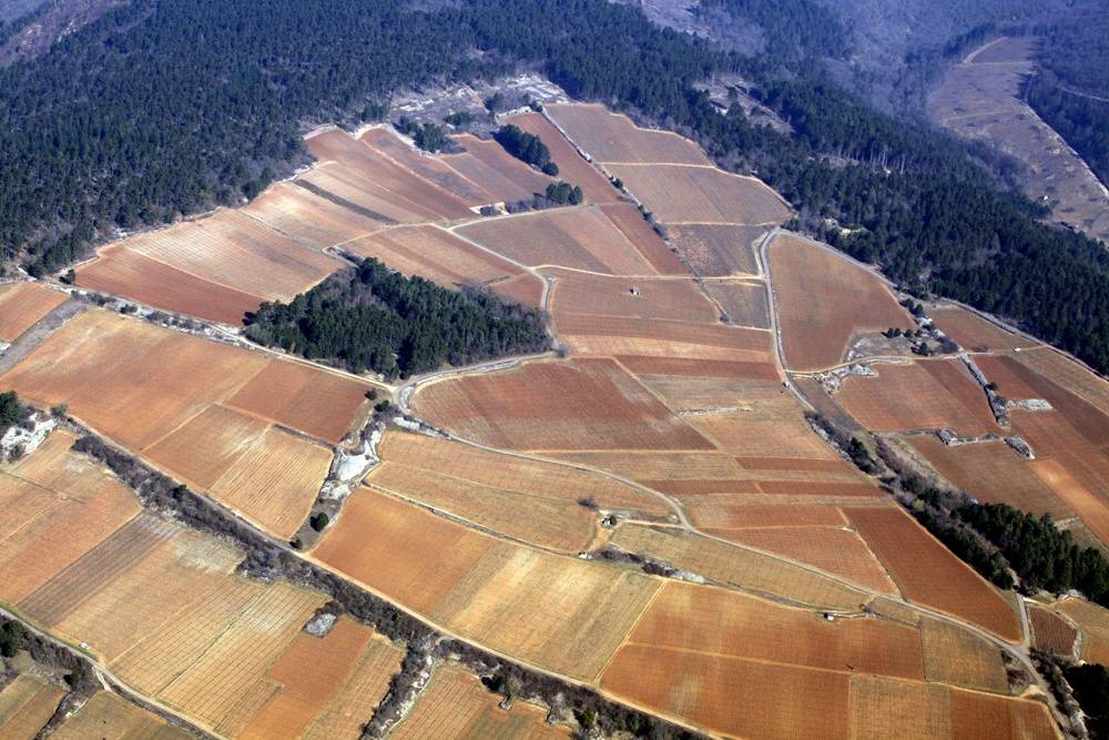 A day Nestling beneath the hillside of the Grands Crus of Corton