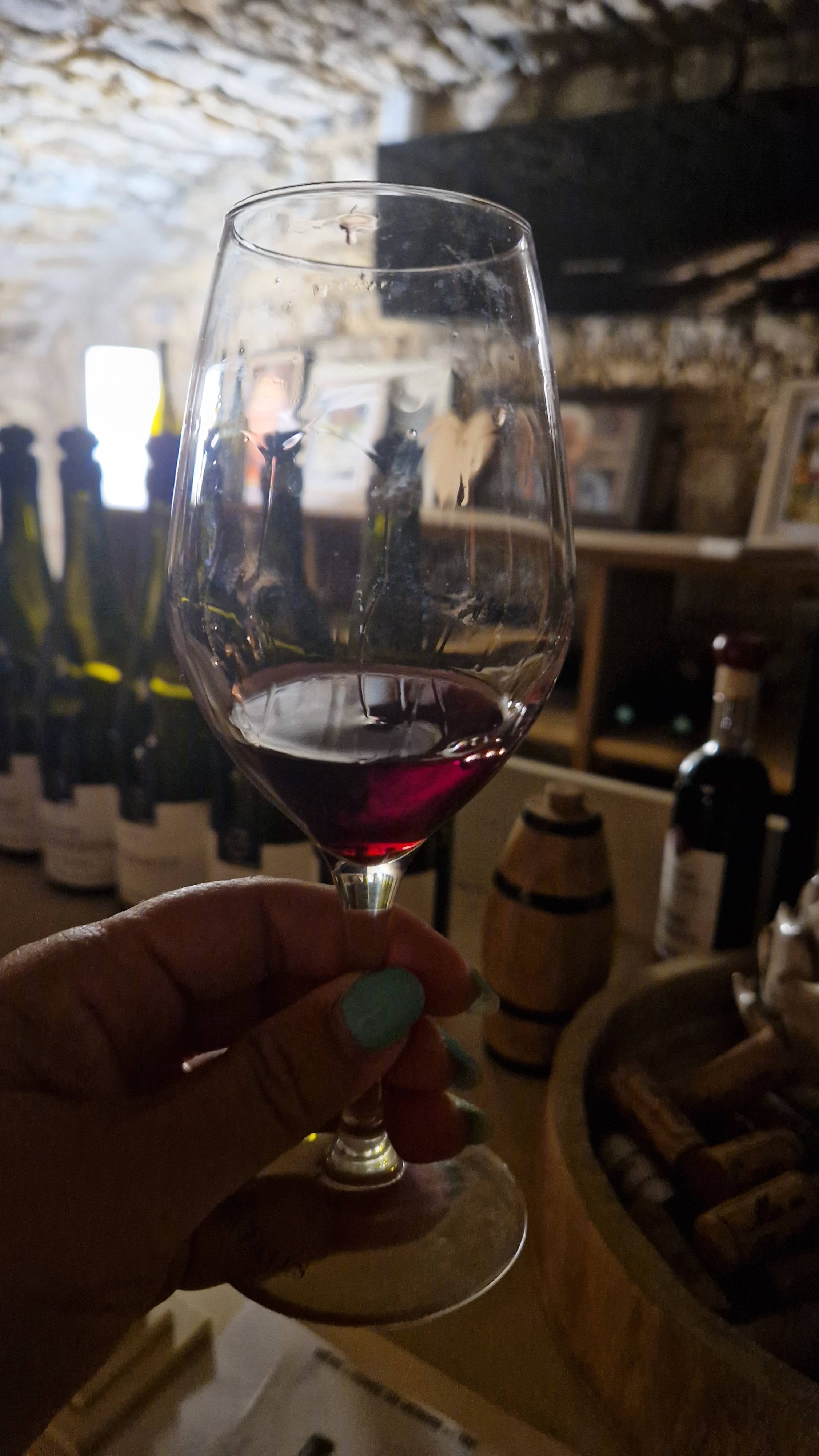 Safari sur la Côte de Beaune avec dégustation 