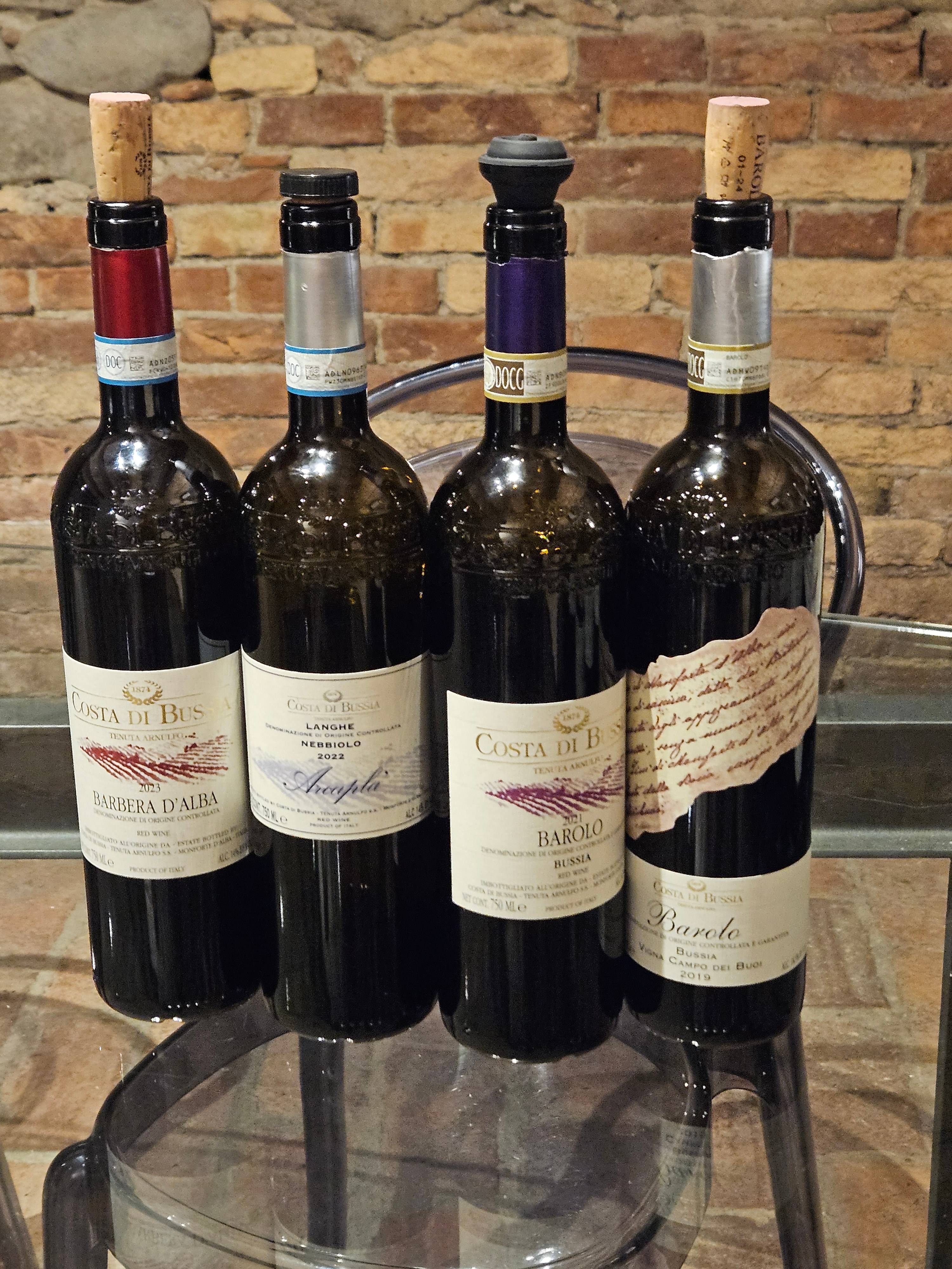 Experiência de Vinho e Queijo