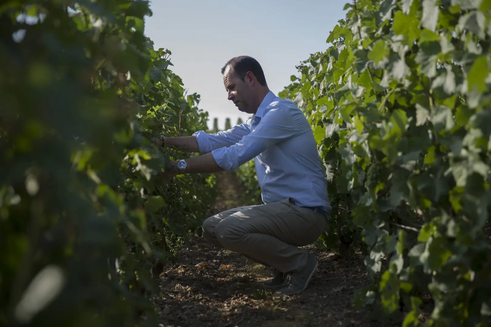 Gourmand Instantâneo