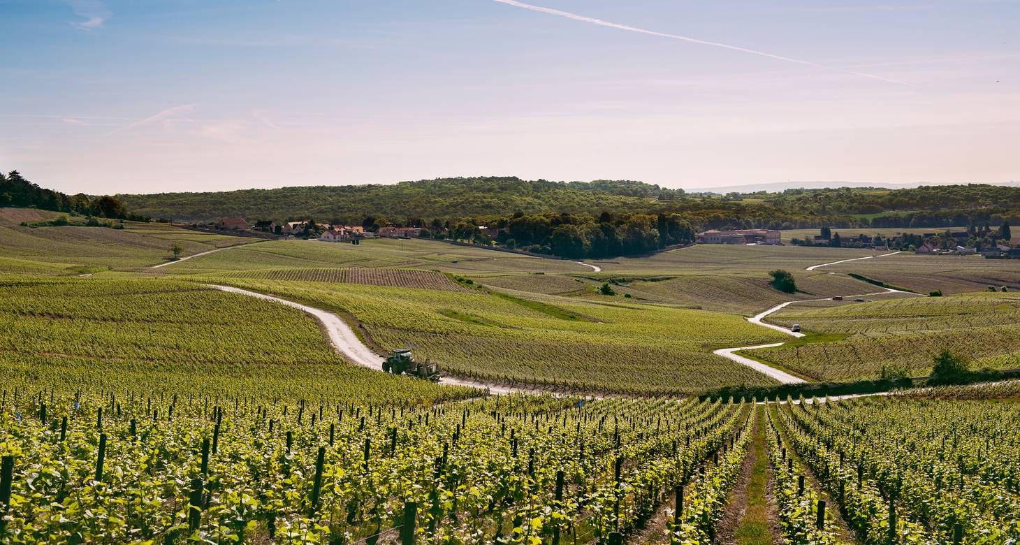 Top 5 Maisons & Caves de Champagne à Epernay - 2026 - 17 - Champagne à Epernay Champagne à Epernay - Top 5 Maisons & Caves de Champagne à Epernay - 2026 - 16