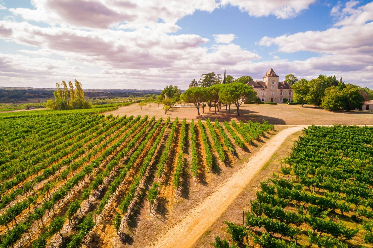 Que faire à Cahors ? Les incontournables pour visiter cette ville médiévale - 2026 - 18 - visiter cahors, que faire a cahors visiter cahors, que faire a cahors - Que faire à Cahors ? Les incontournables pour visiter cette ville médiévale - 2026 - 17