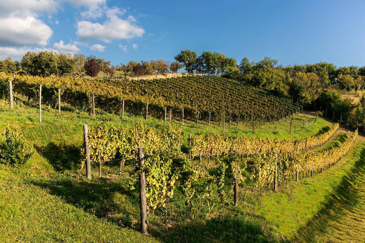 Day Trips from Rome - The 10 Best Day Trips from Rome - 2025 - 15