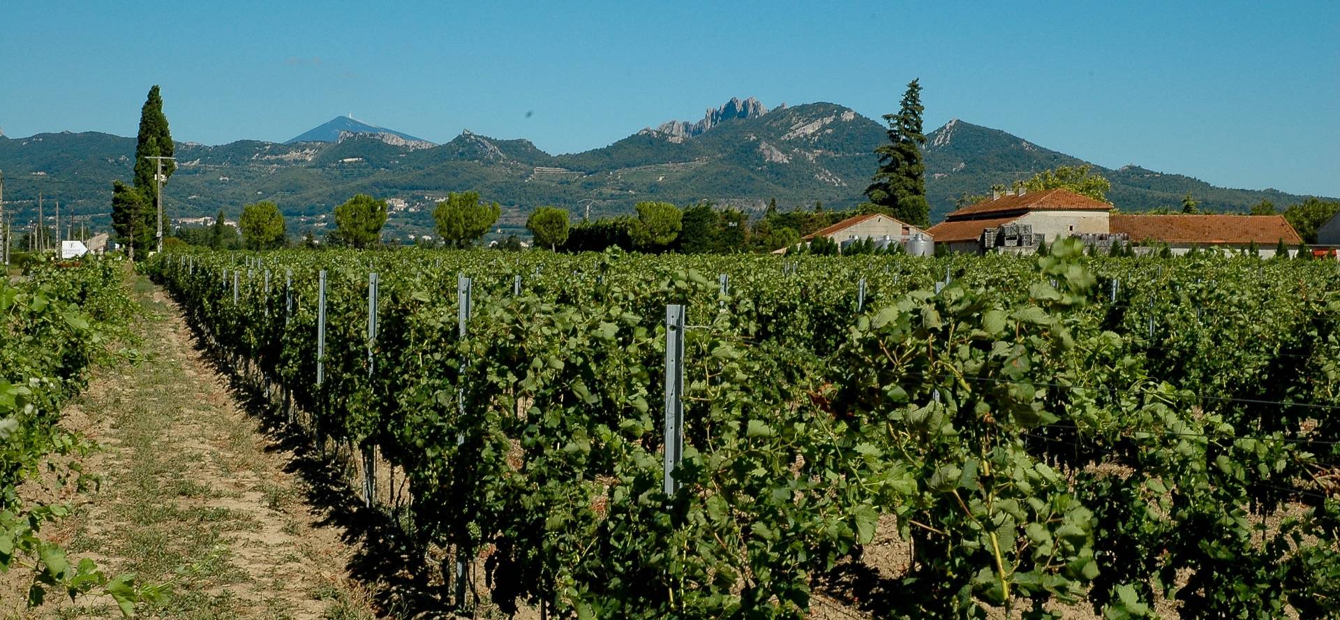 Domaine Des Favards - Winalist