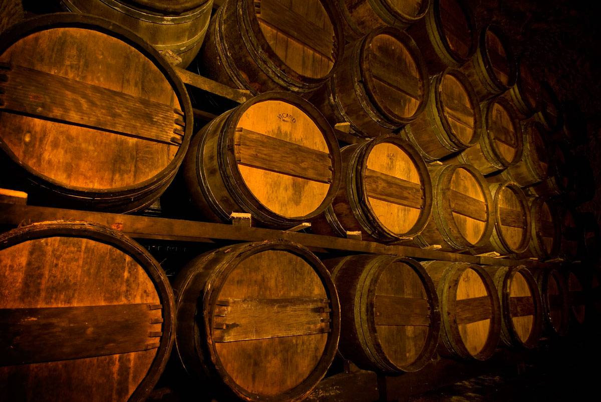 Visit and tasting with a view of the Loire