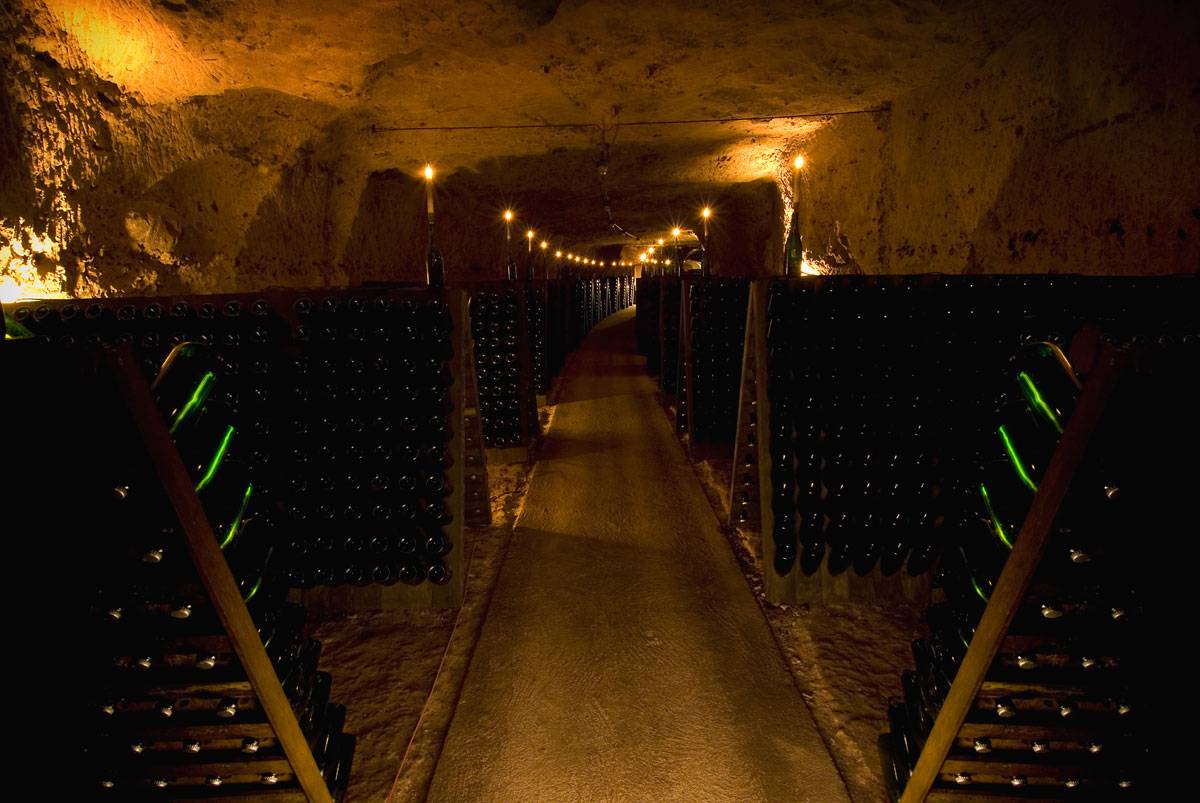 Things to Do in Blois: Royal City of the Loire Valley - 2026 - 9 - things to do in Blois - Domaine Thierry Cosme