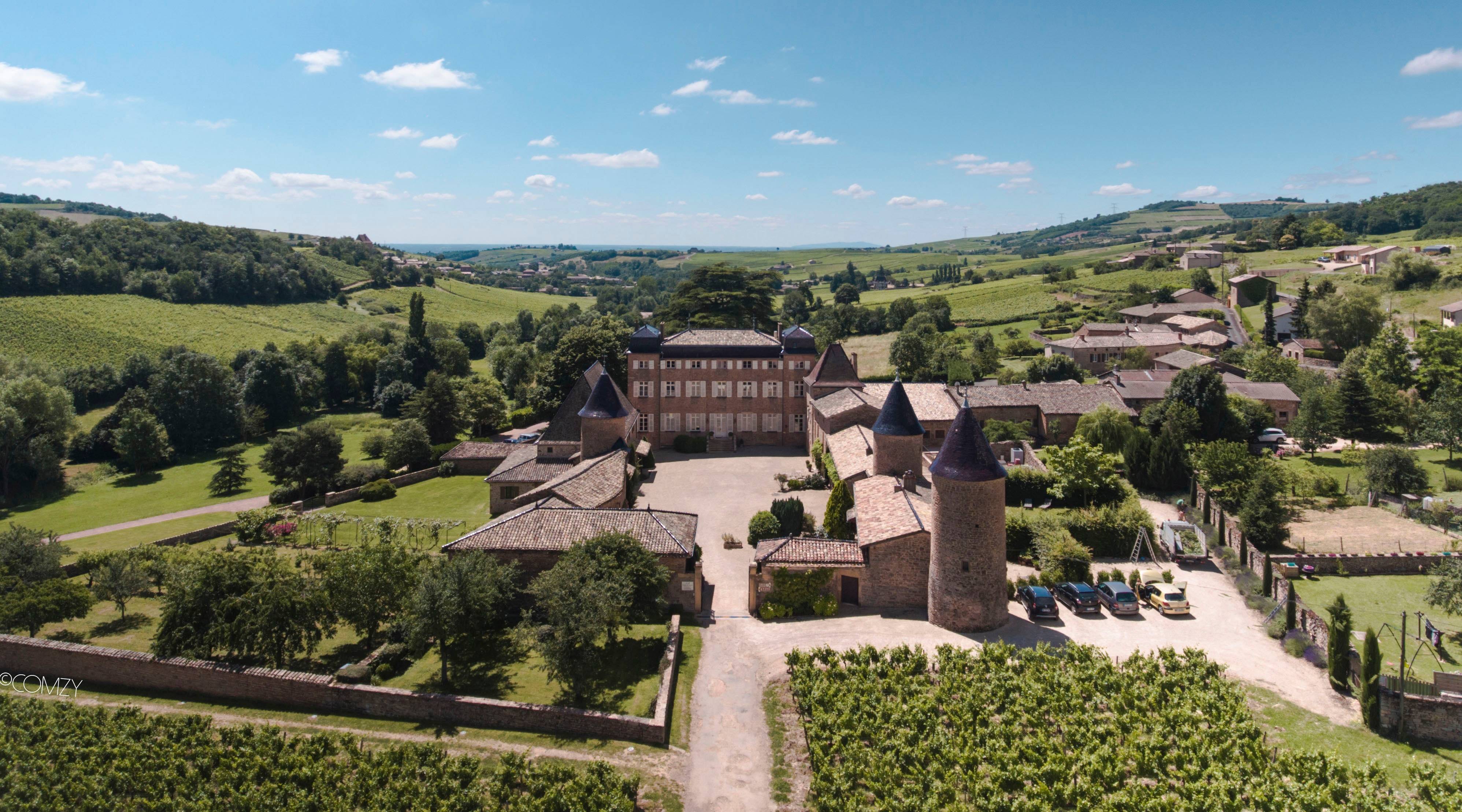 Segwaytour door de wijngaarden