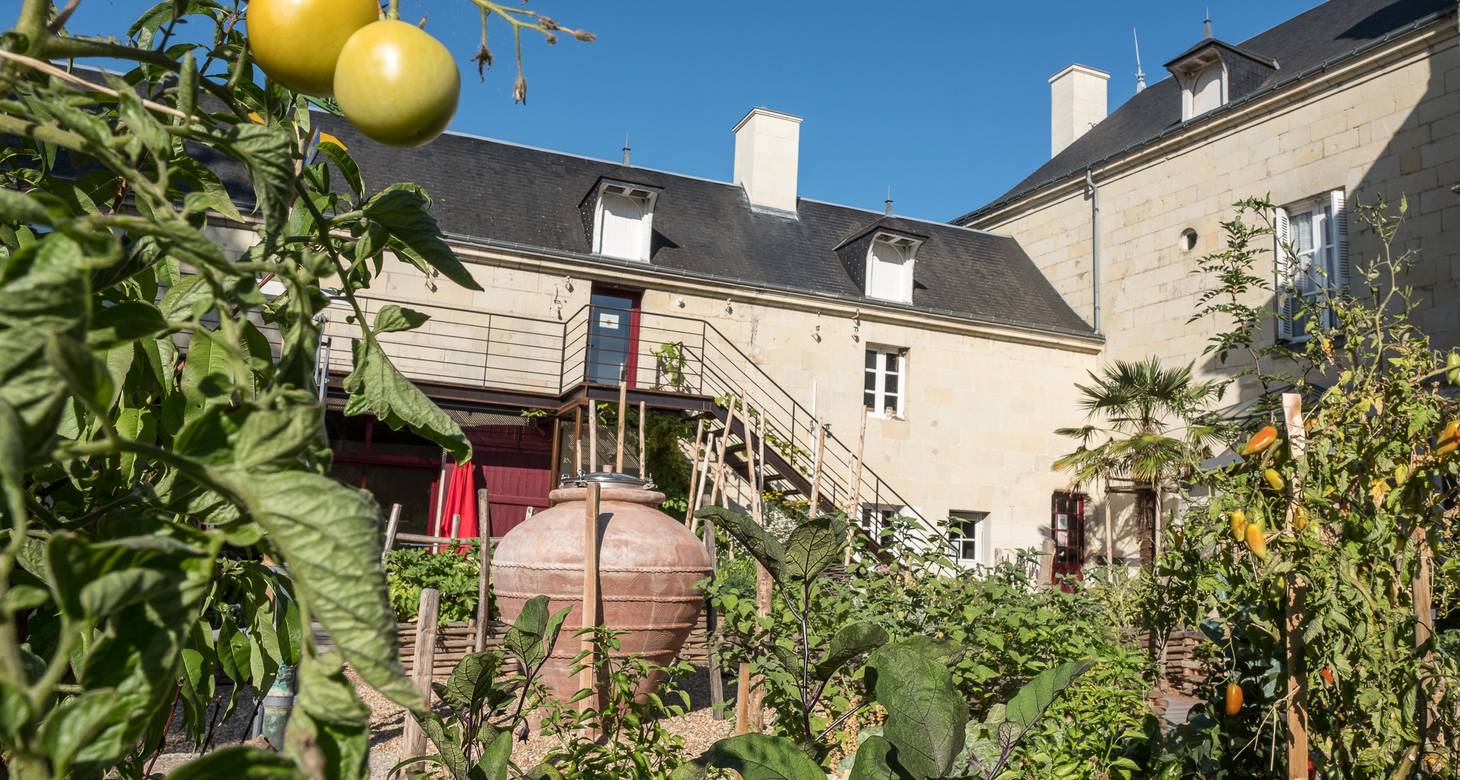 Route des vins de Loire: guide des vins de la vallée - 2026 - 19 - route des vins loire route des vins loire - Route des vins de Loire: guide des vins de la vallée - 2026 - 18