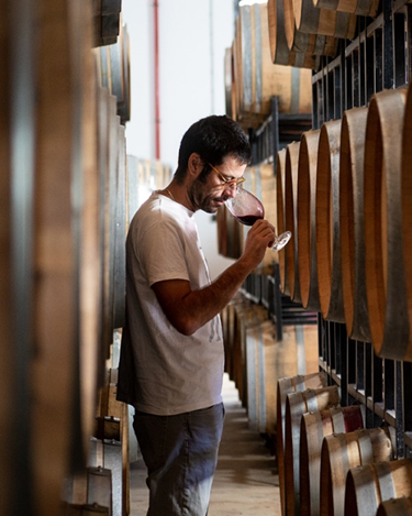 About winegrowers - Herdade do Esporão - Photo - Winalist