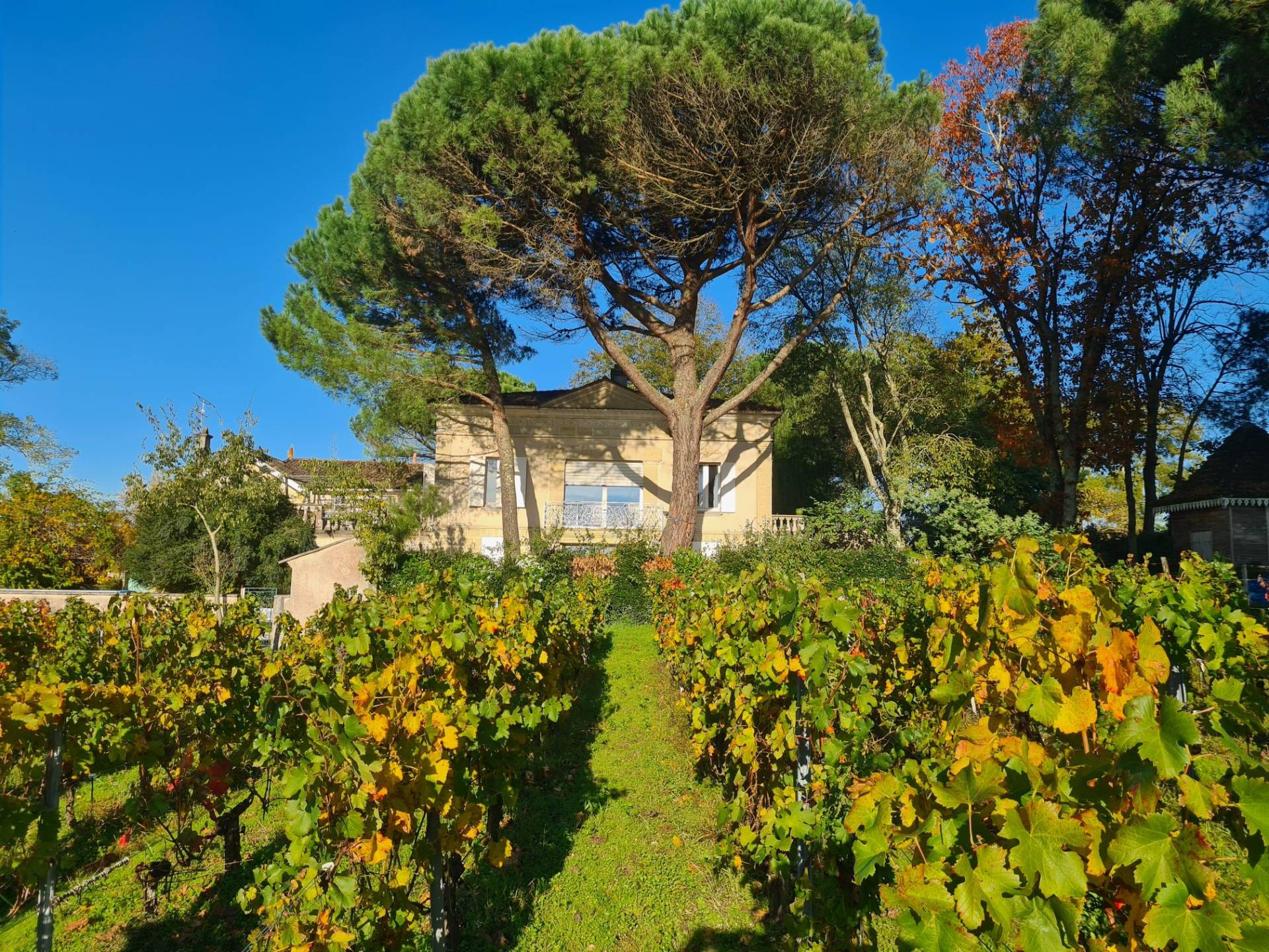 Château Enclos Haut Mazeyres - Winalist
