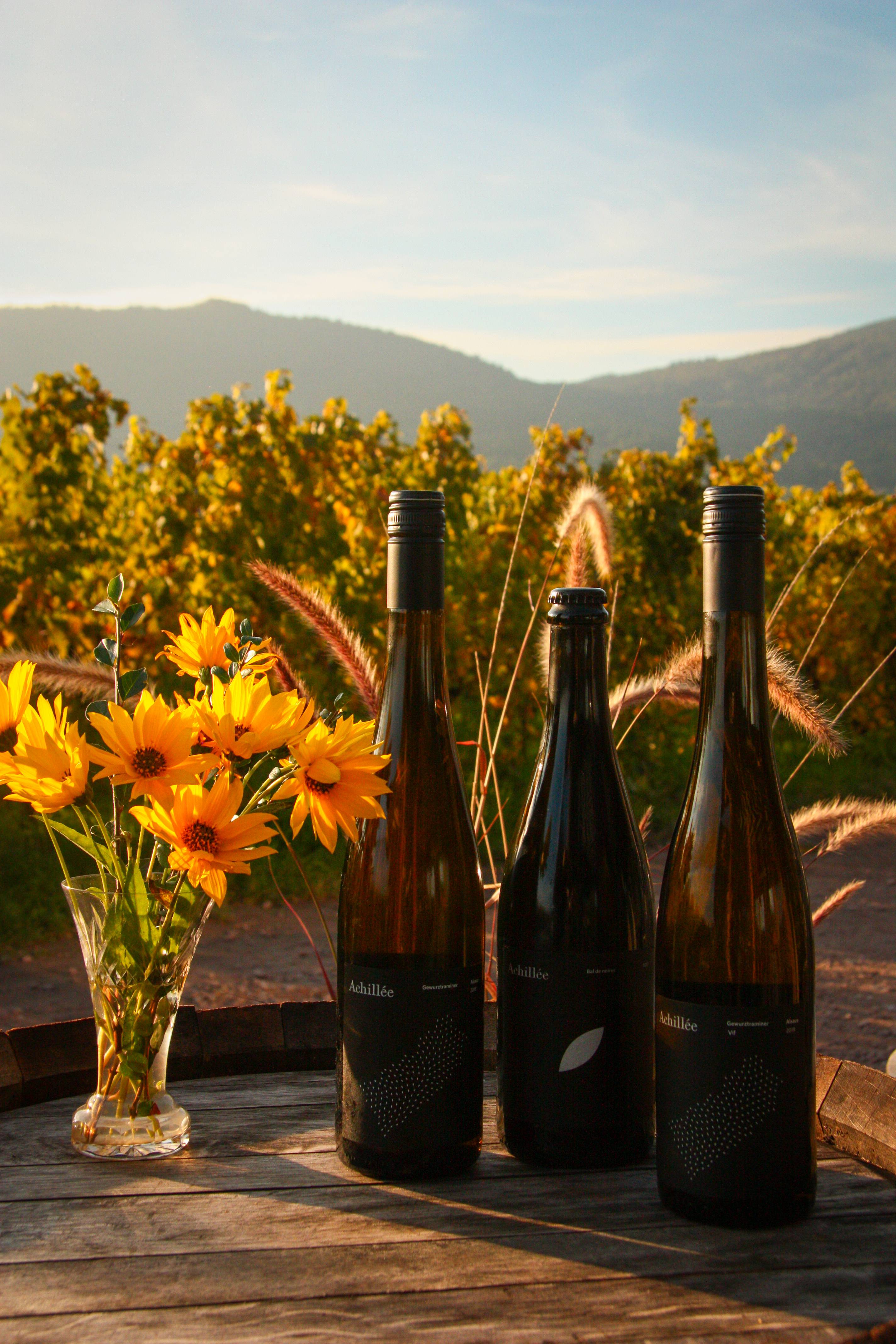 Achillée ⭐️ Tour, Reviews, Price - 2025