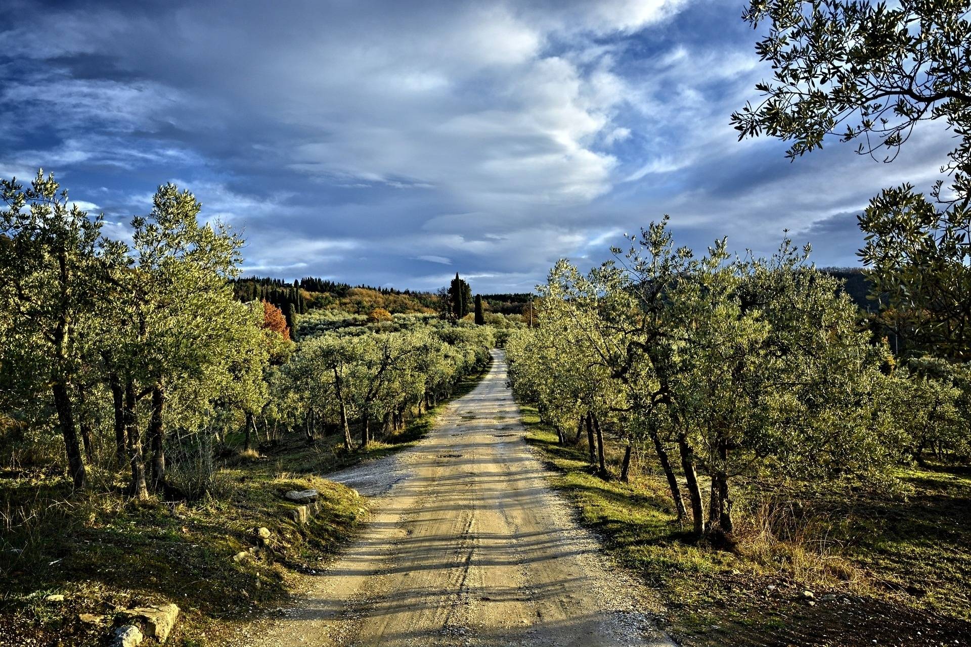 Randonnée dans le Chianti Classico