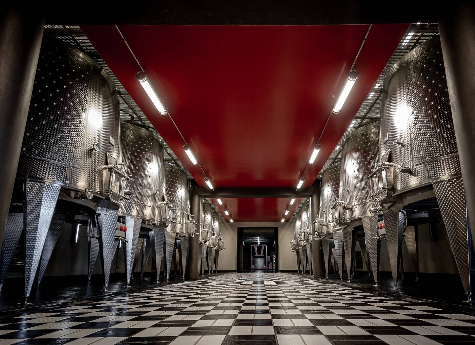 Wine tour