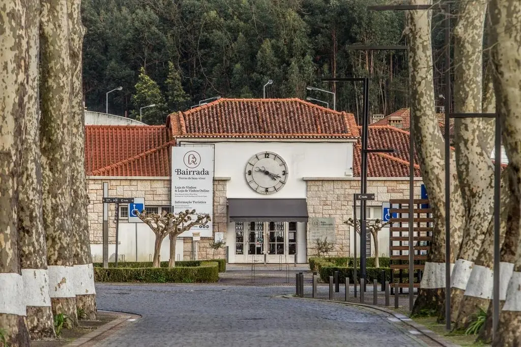 Rota Da Bairrada - Winalist