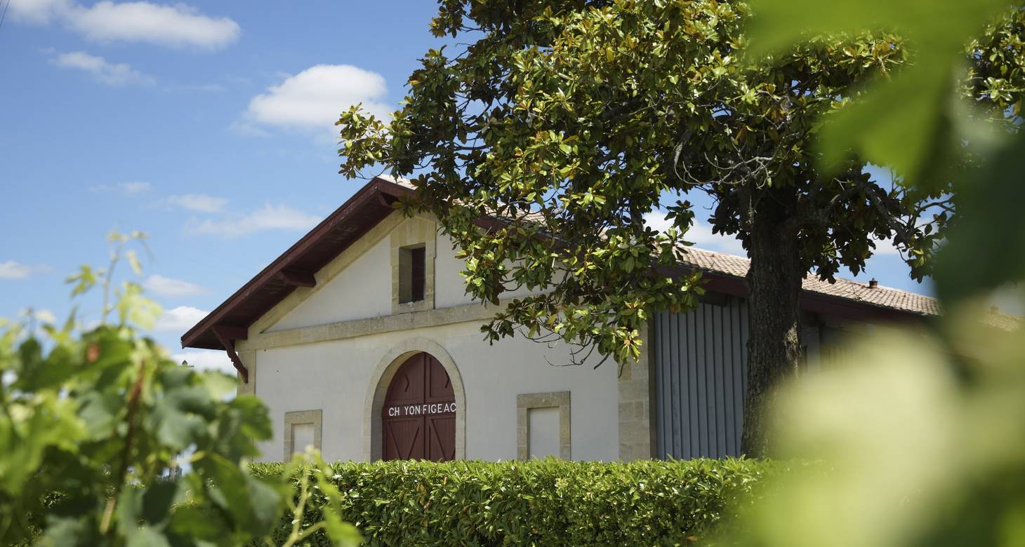 Les portes ouvertes de Saint-Emilion - 2026 - 9 - portes ouvertes de Saint Emilion portes ouvertes de Saint Emilion - Les portes ouvertes de Saint-Emilion - 2026 - 8