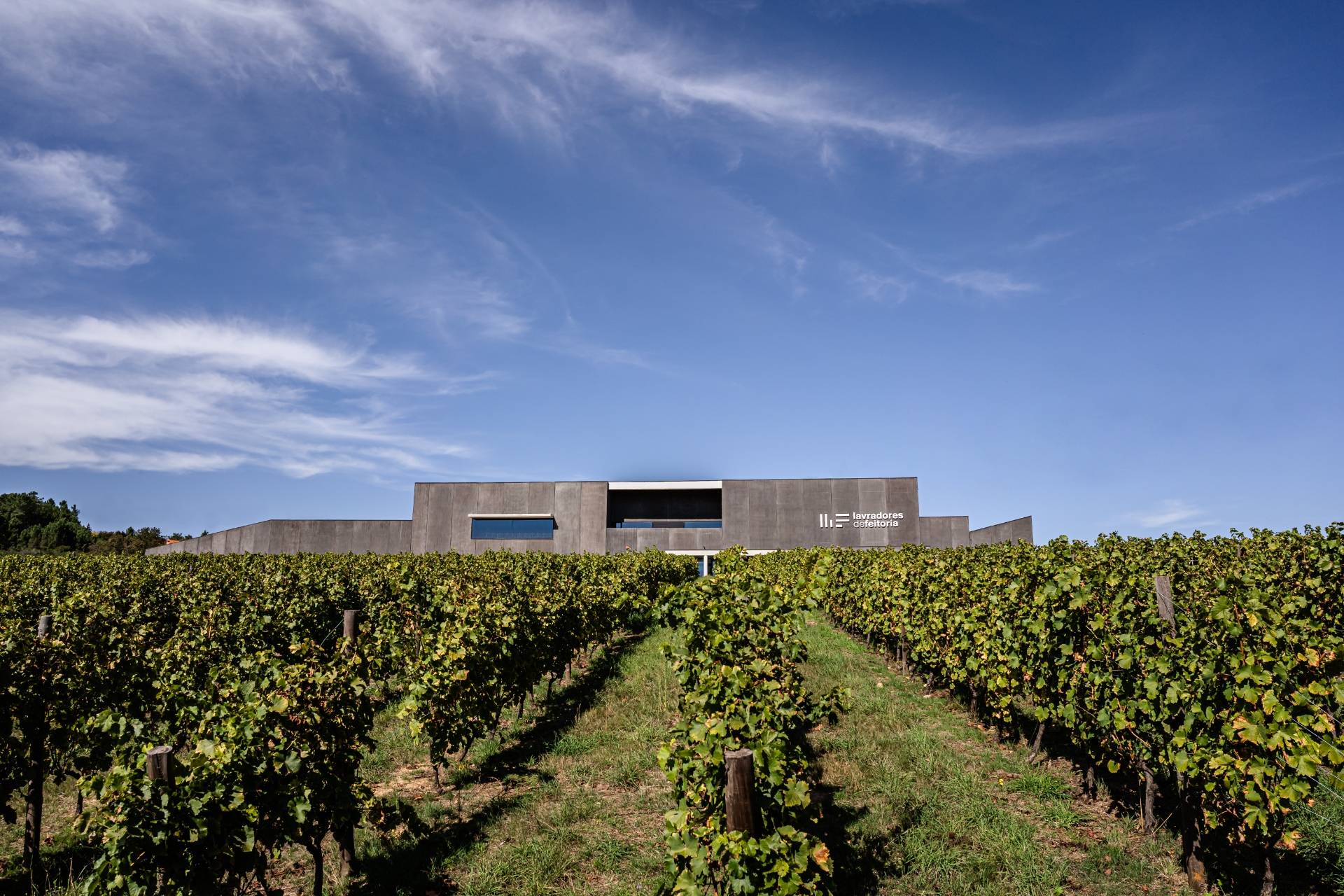 Lavradores De Feitoria - Winalist