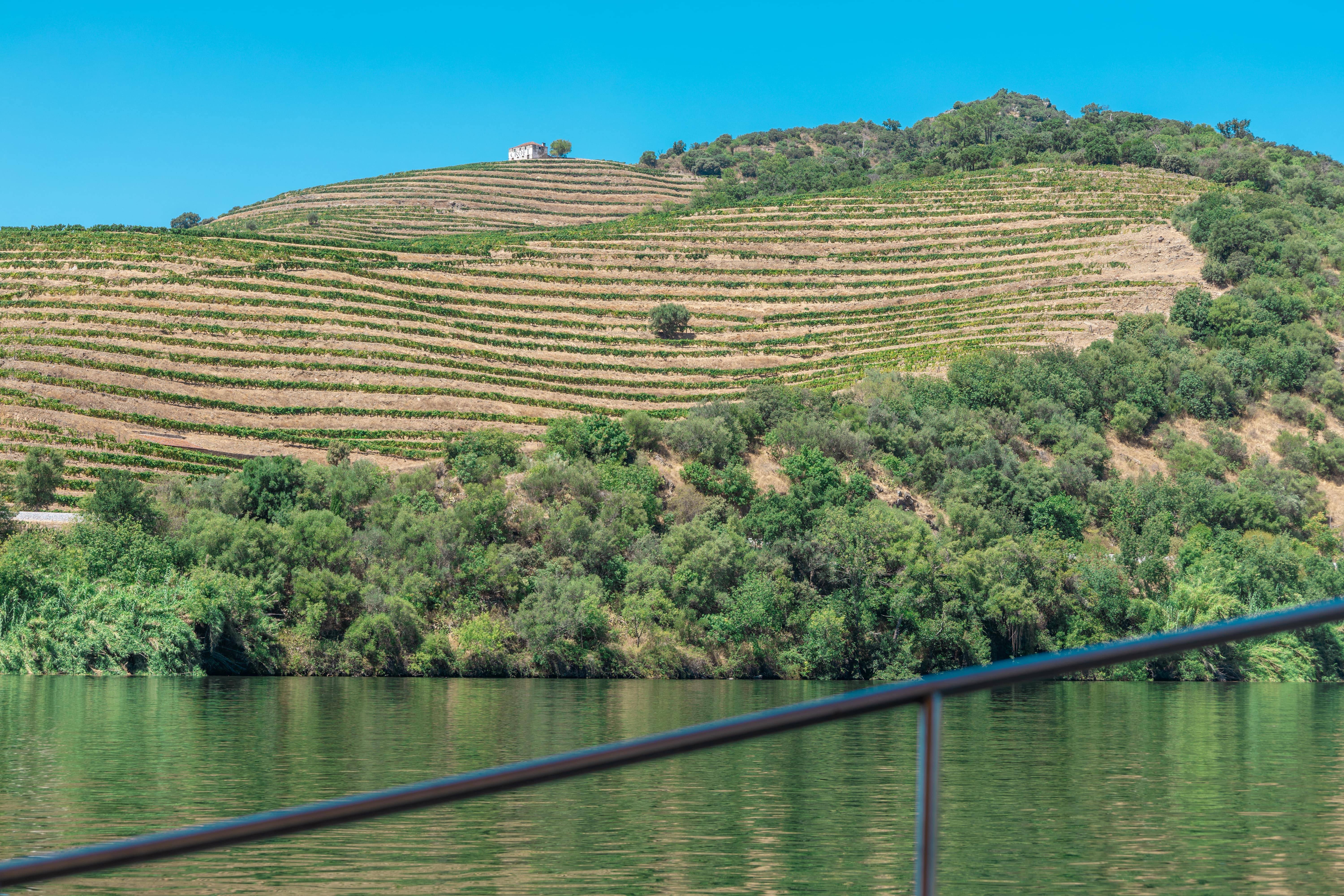 Tour em Grupo Pequeno pelo Vale do Douro com Recolha no Hotel - Living Tours  Gray Line - Winalist