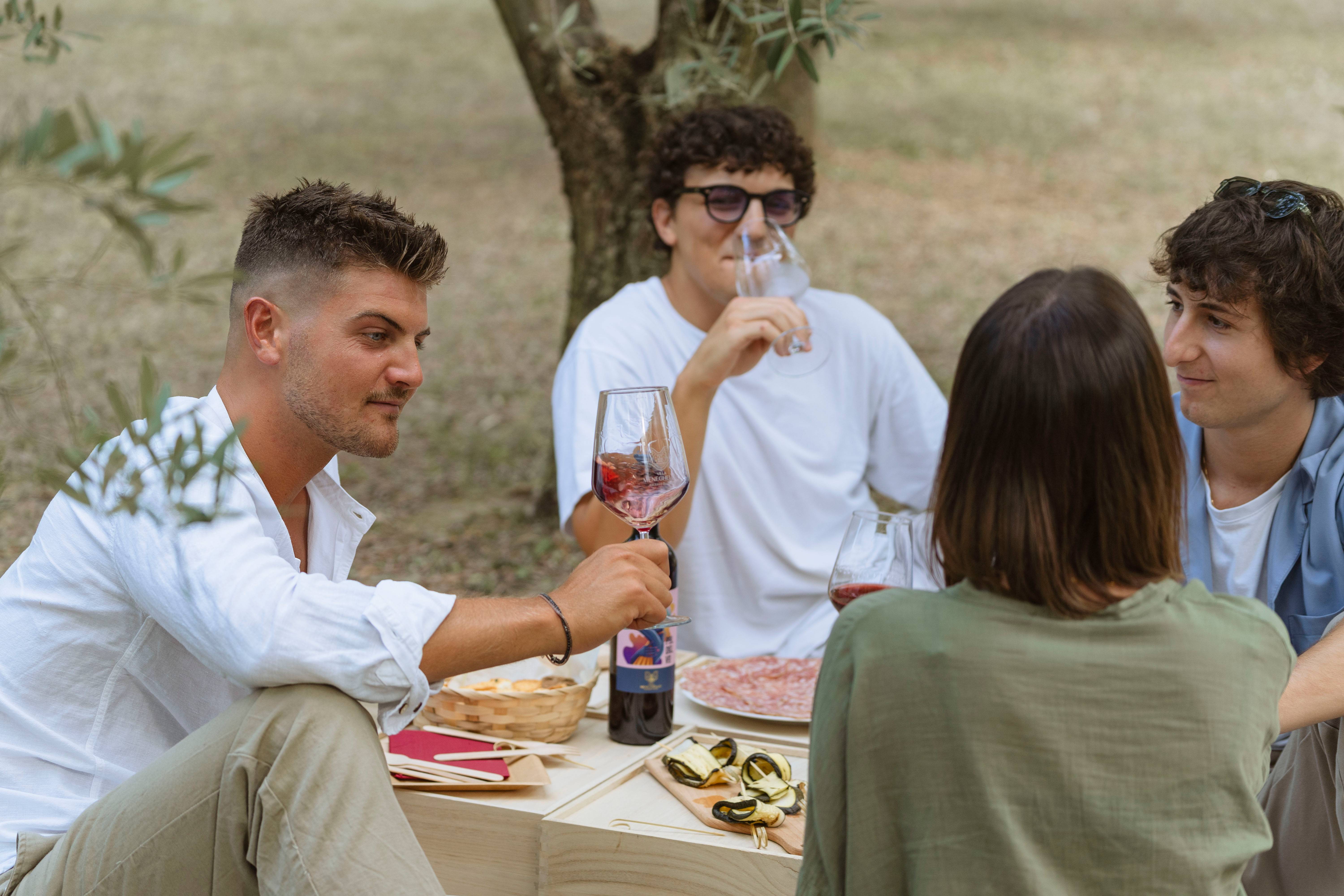 Picnic nell'oliveto - Villa Meneghello - Winalist