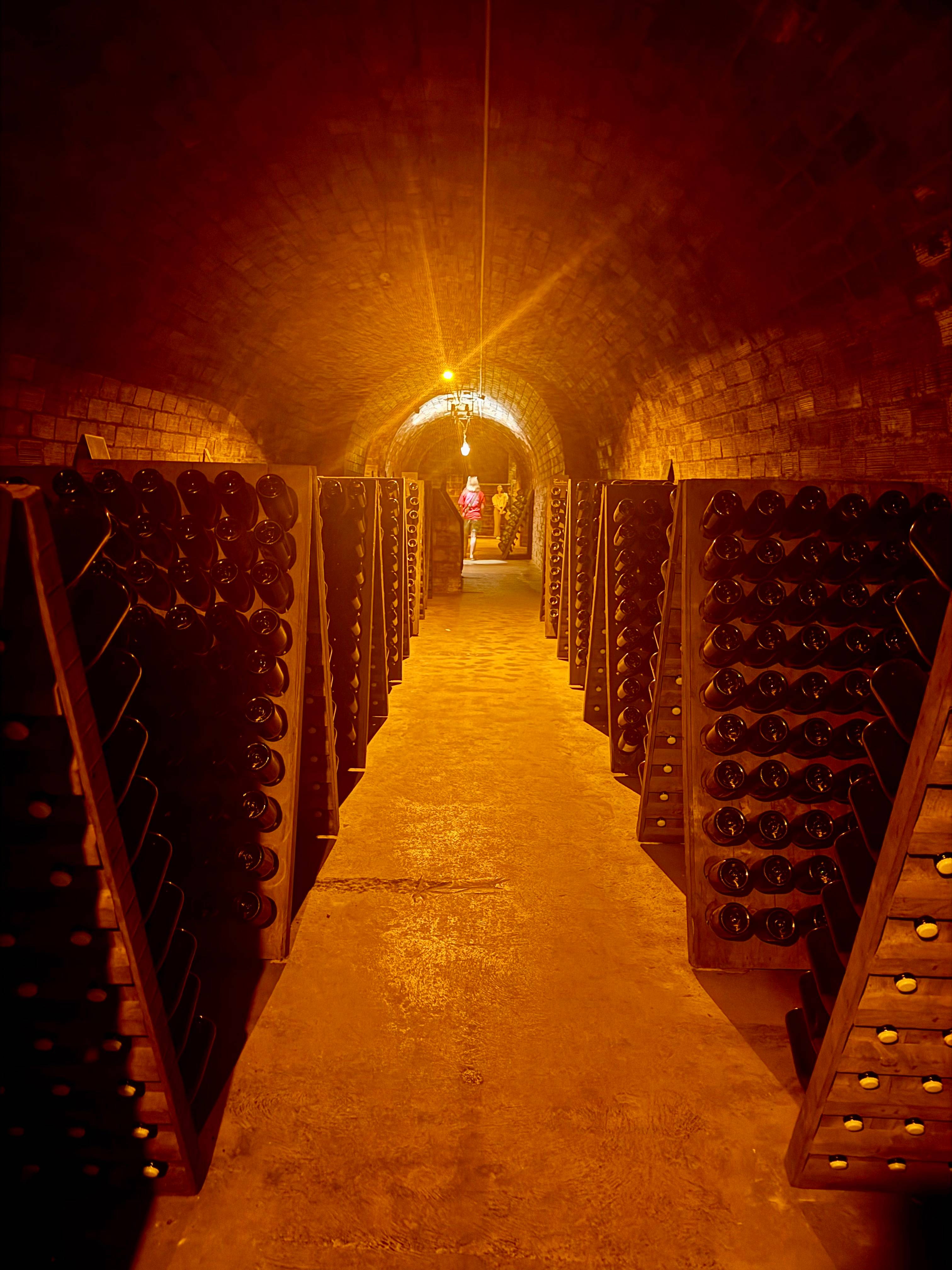 La visita del collezionista - 3 champagne