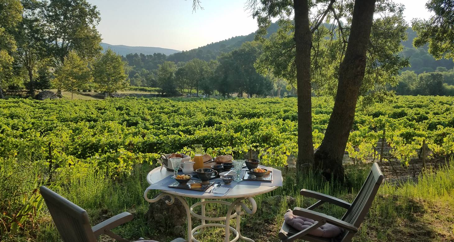 Top things to do in Carcassonne: Uncover the medieval city - 2026 - 15 - things to do in carcassonne things to do in carcassonne - Top things to do in Carcassonne: Uncover the medieval city - 2026 - 14