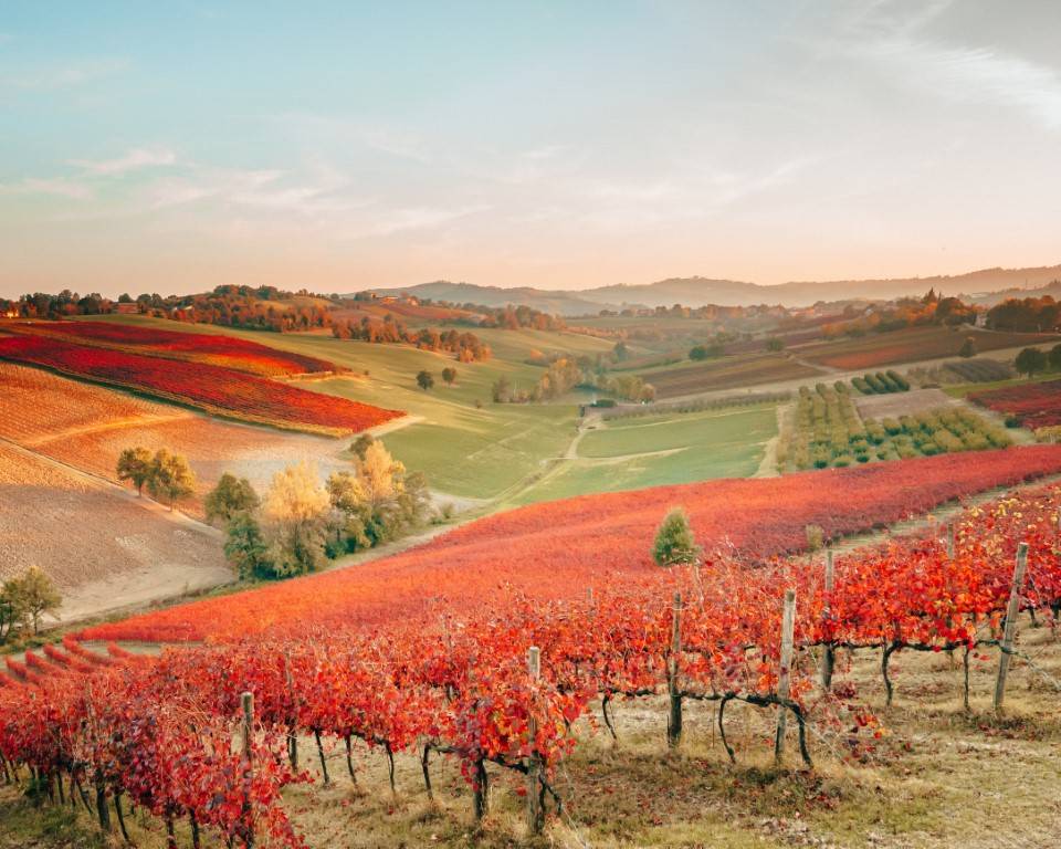 Visiter Parme : Itinéraire gourmand et culturel au cœur de l’Italie - 2026 - 20 - parme parme - Visiter Parme : Itinéraire gourmand et culturel au cœur de l’Italie - 2026 - 19
