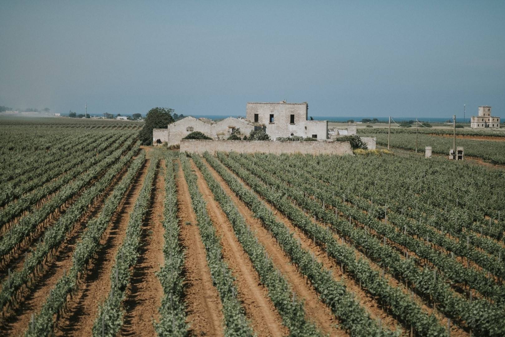 Tenute Rubino - Winalist