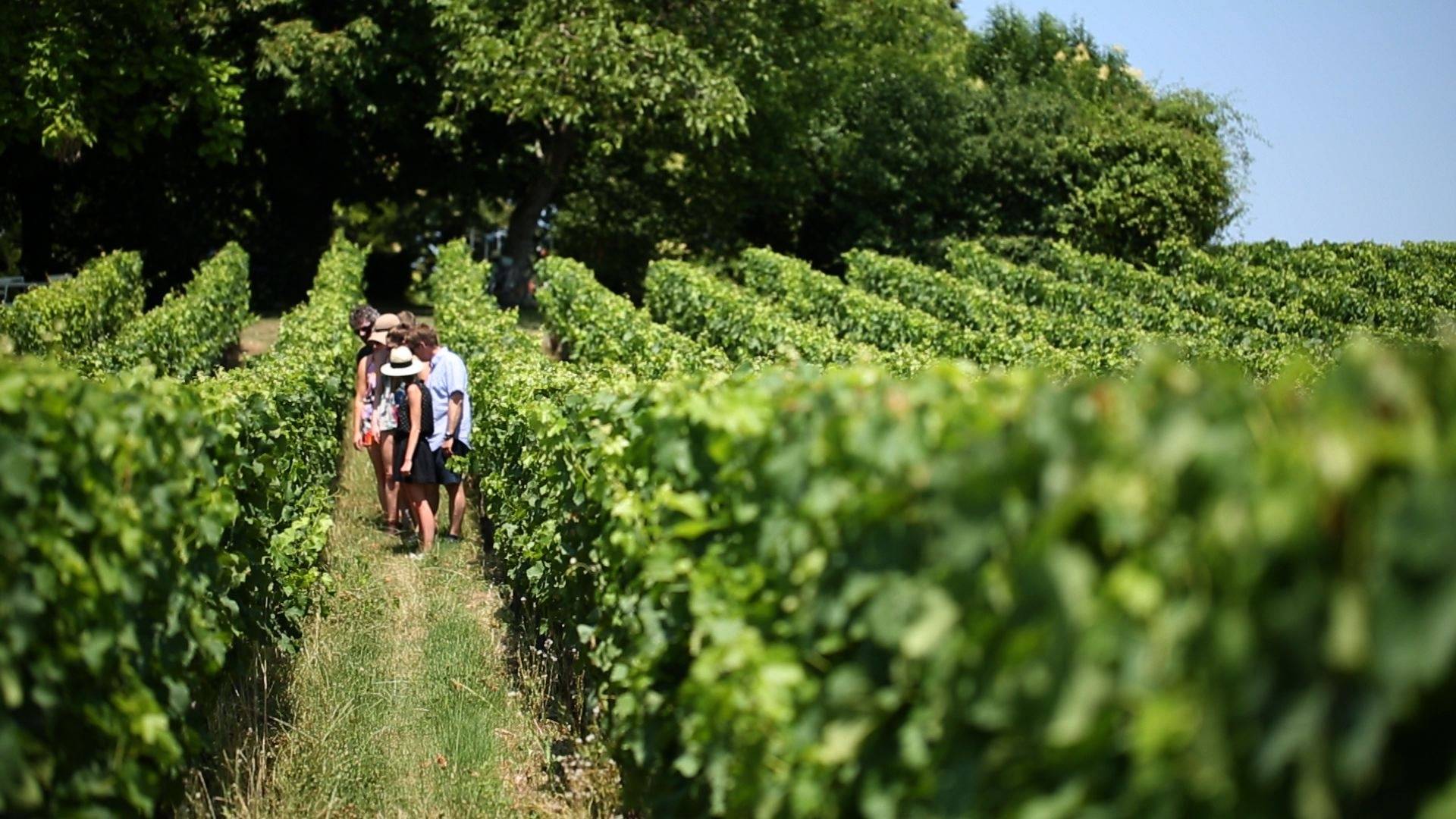 A La Française Bordeaux ⭐️ Tour, Reviews, Price 2025