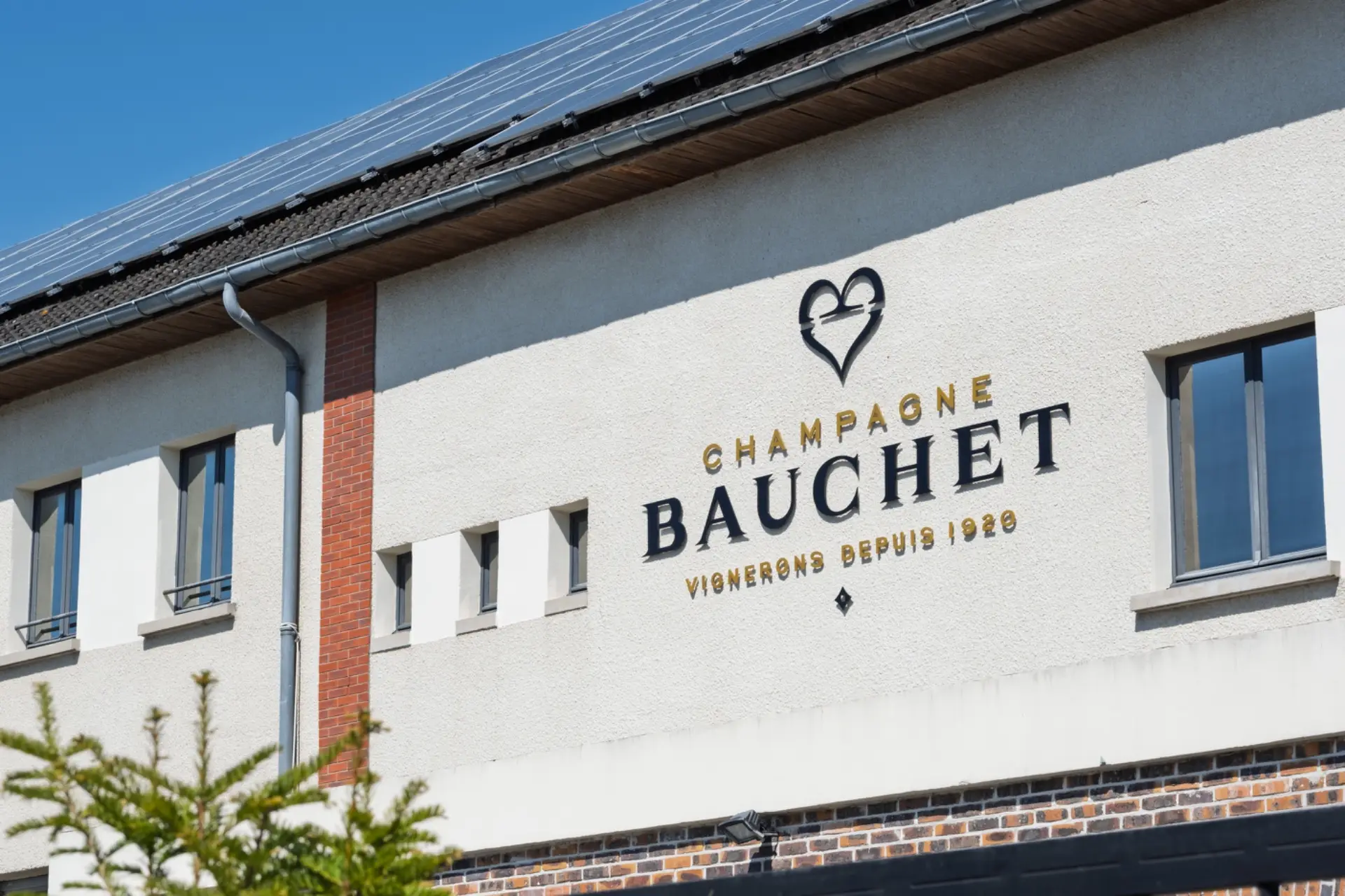 Domaine Bauchet - Winalist