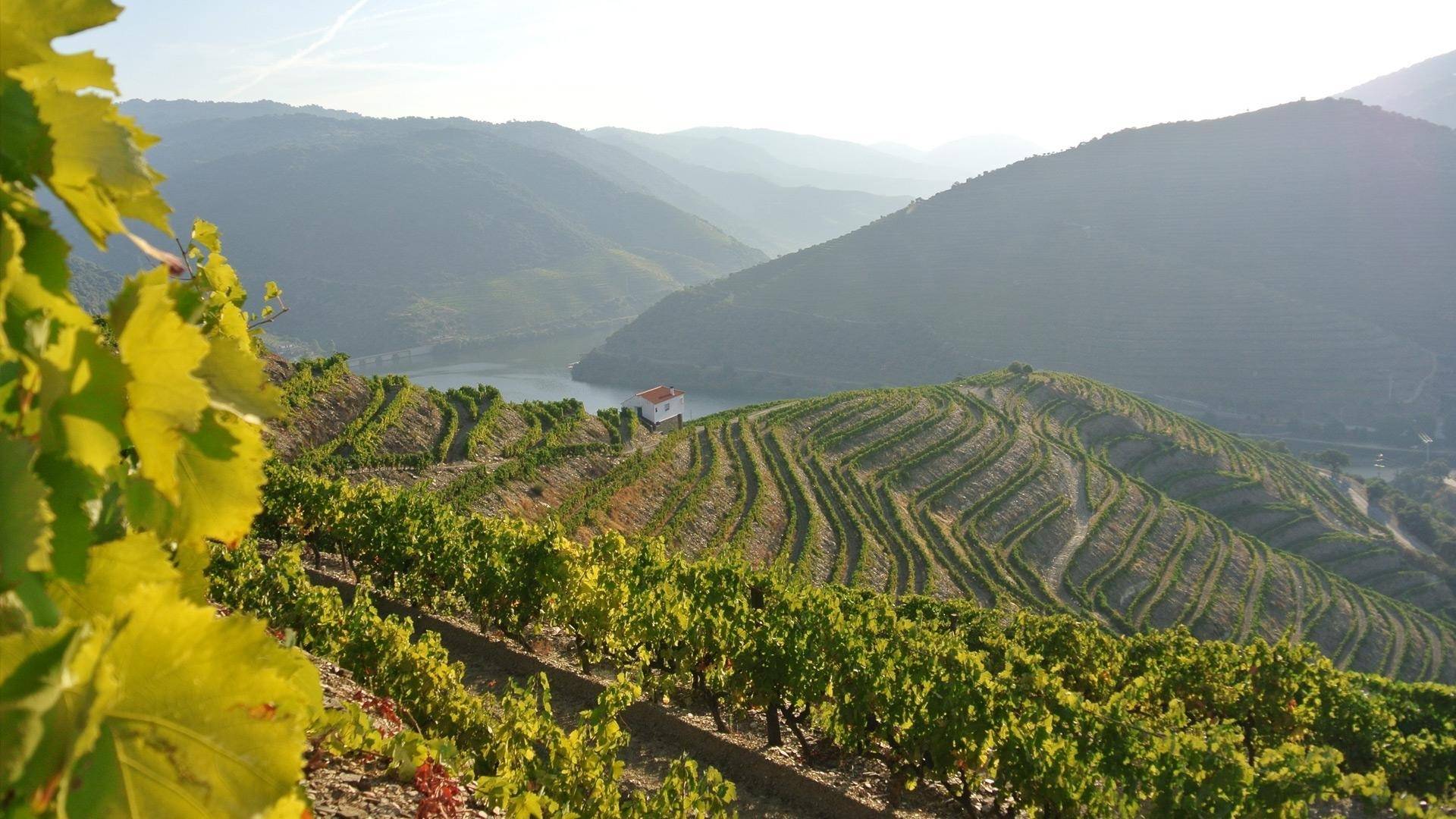 Portugal Excellence Tours - Winalist