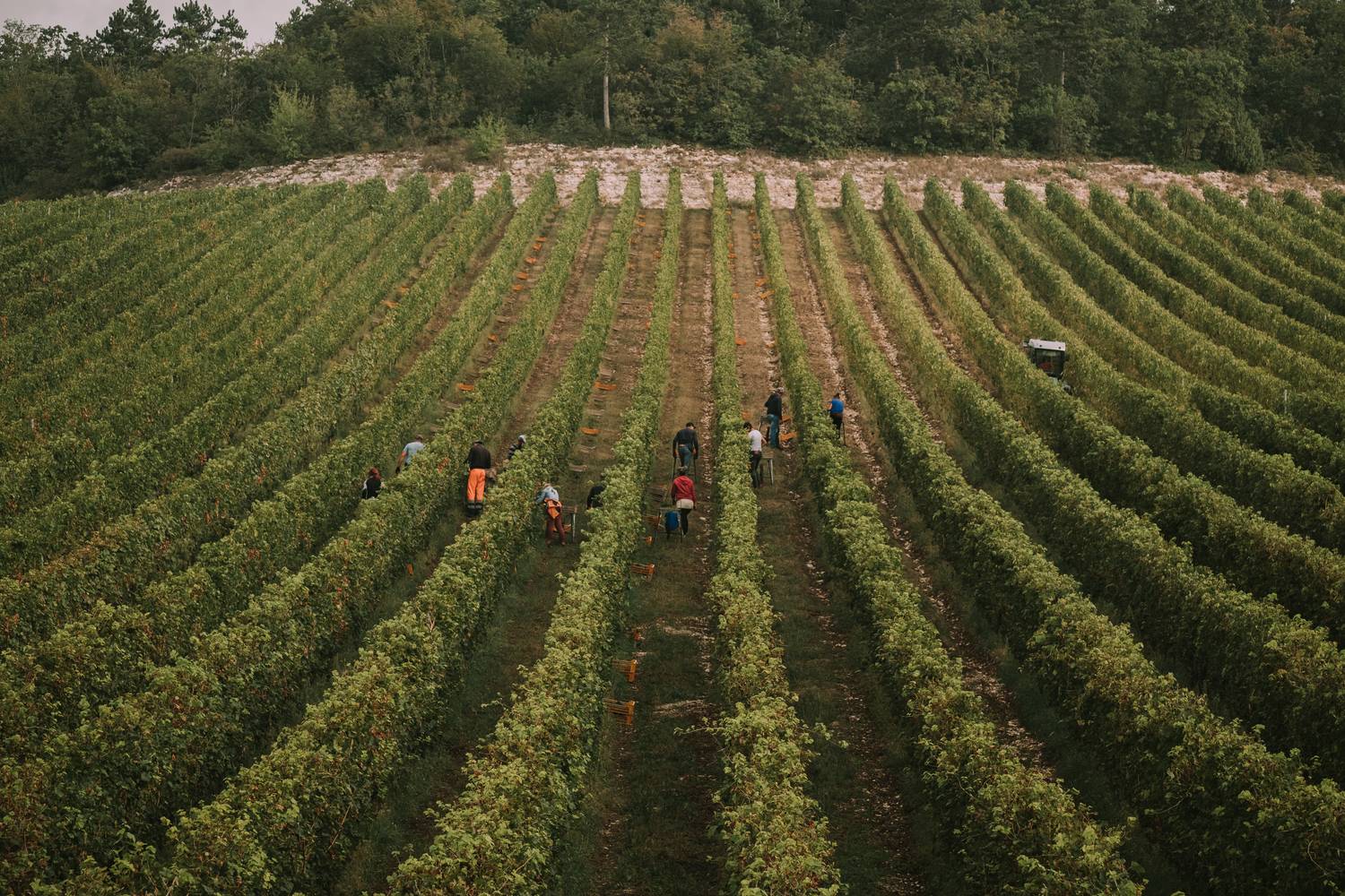 things to do in verona - Best things to do in Verona: Admire Juliet's balcony - 2025 - 33