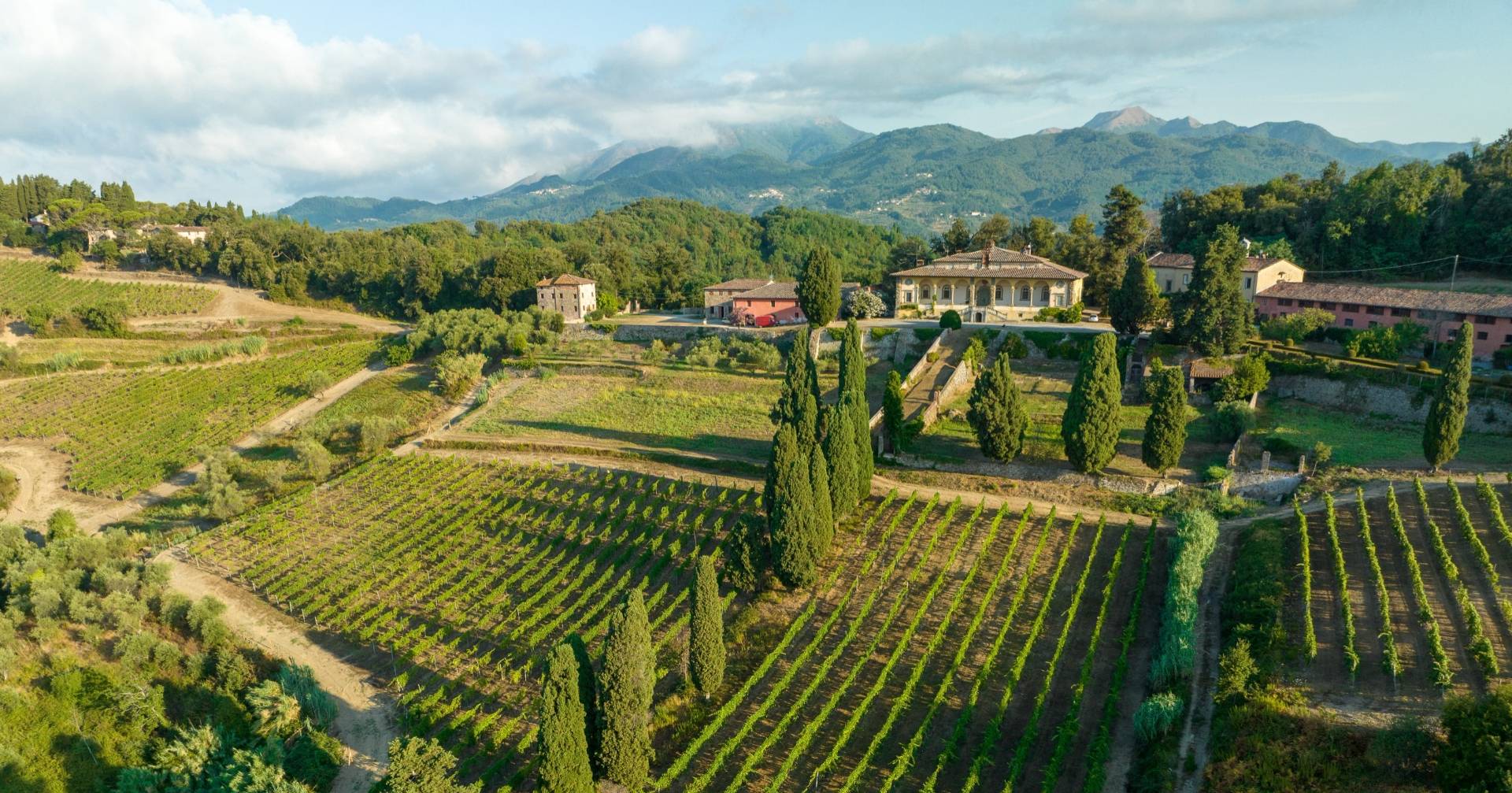 Tenuta di Forci  - Winalist