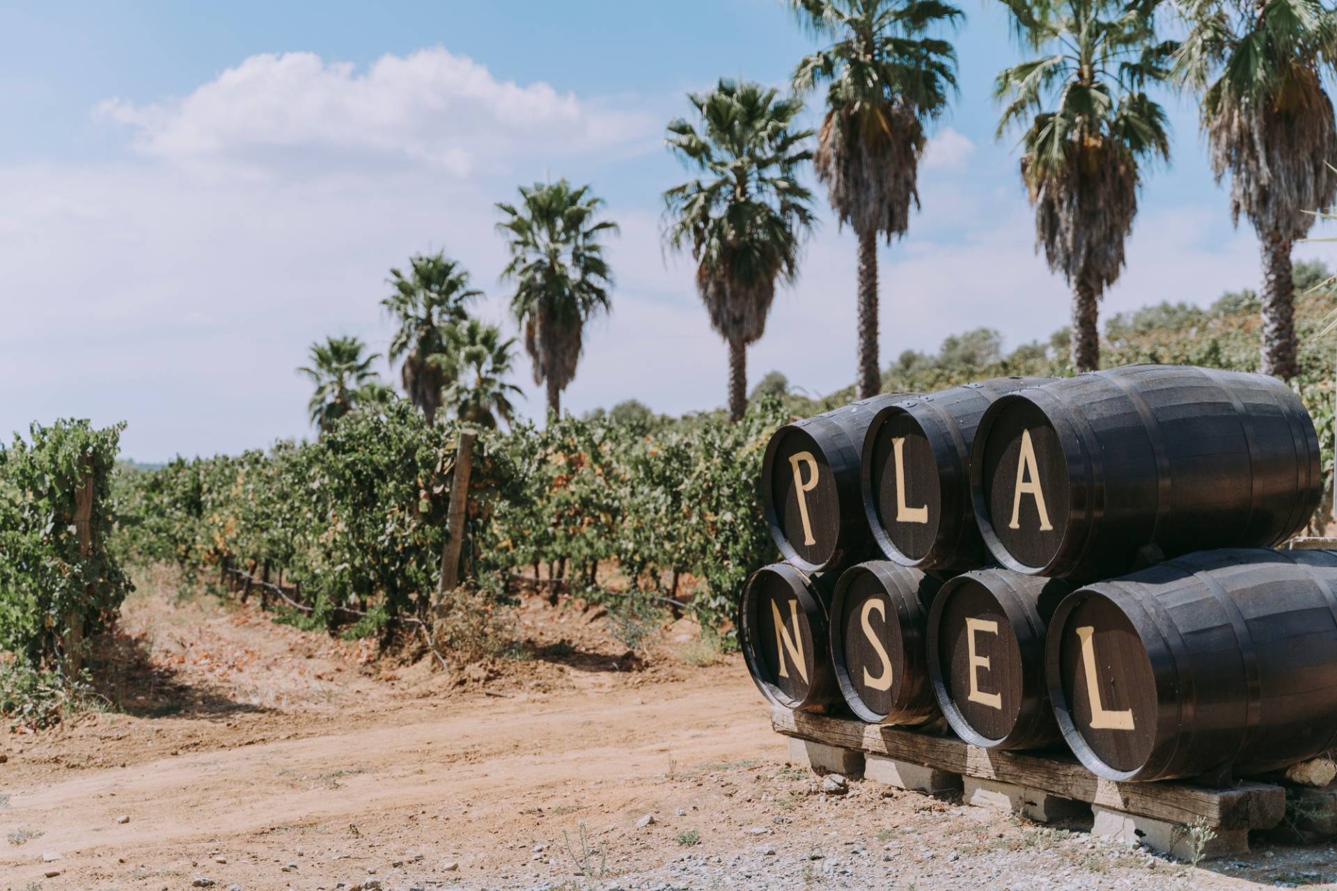 Quinta Da Plansel - Winalist