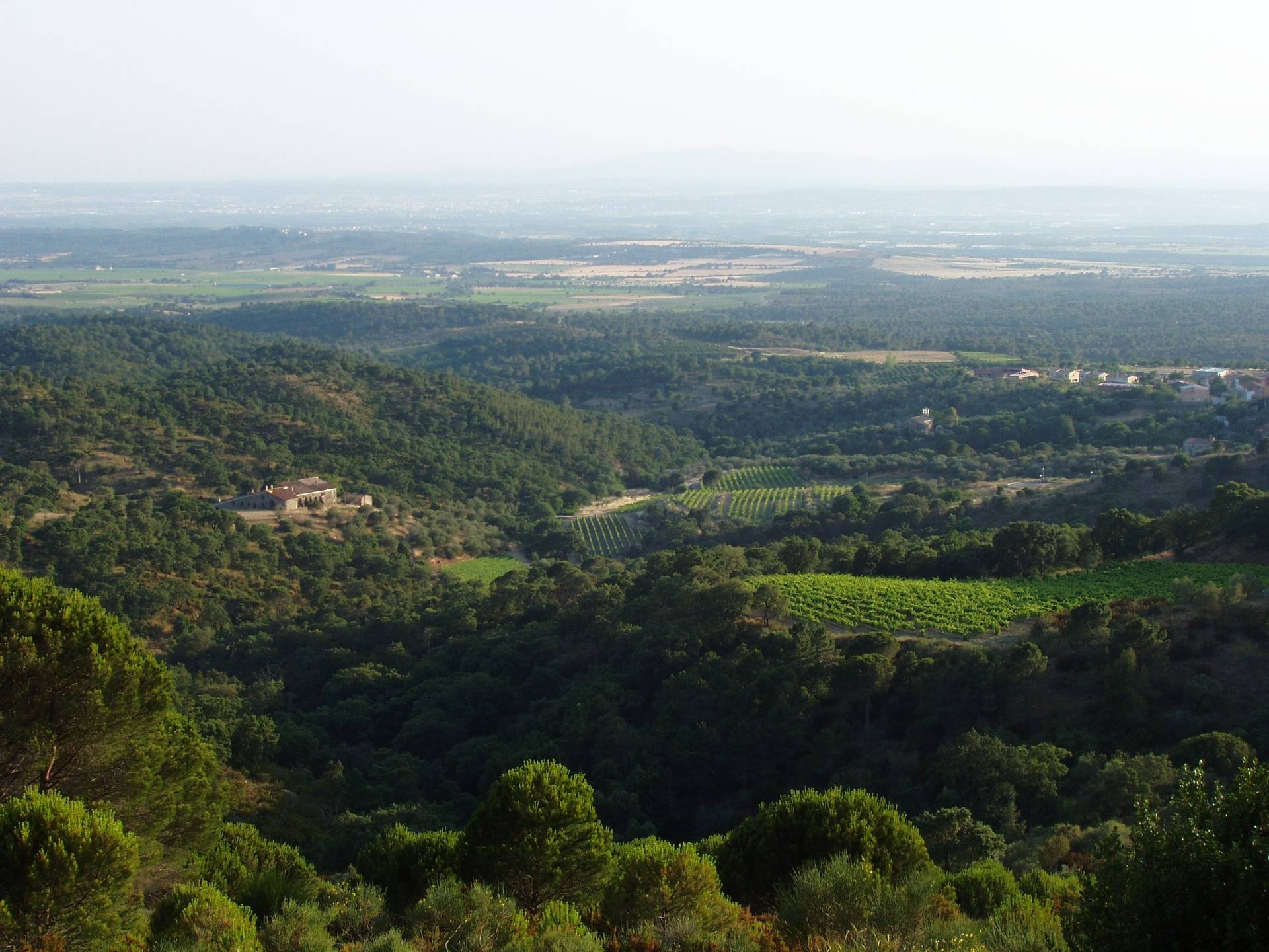 Celler Mas Pòlit - Winalist