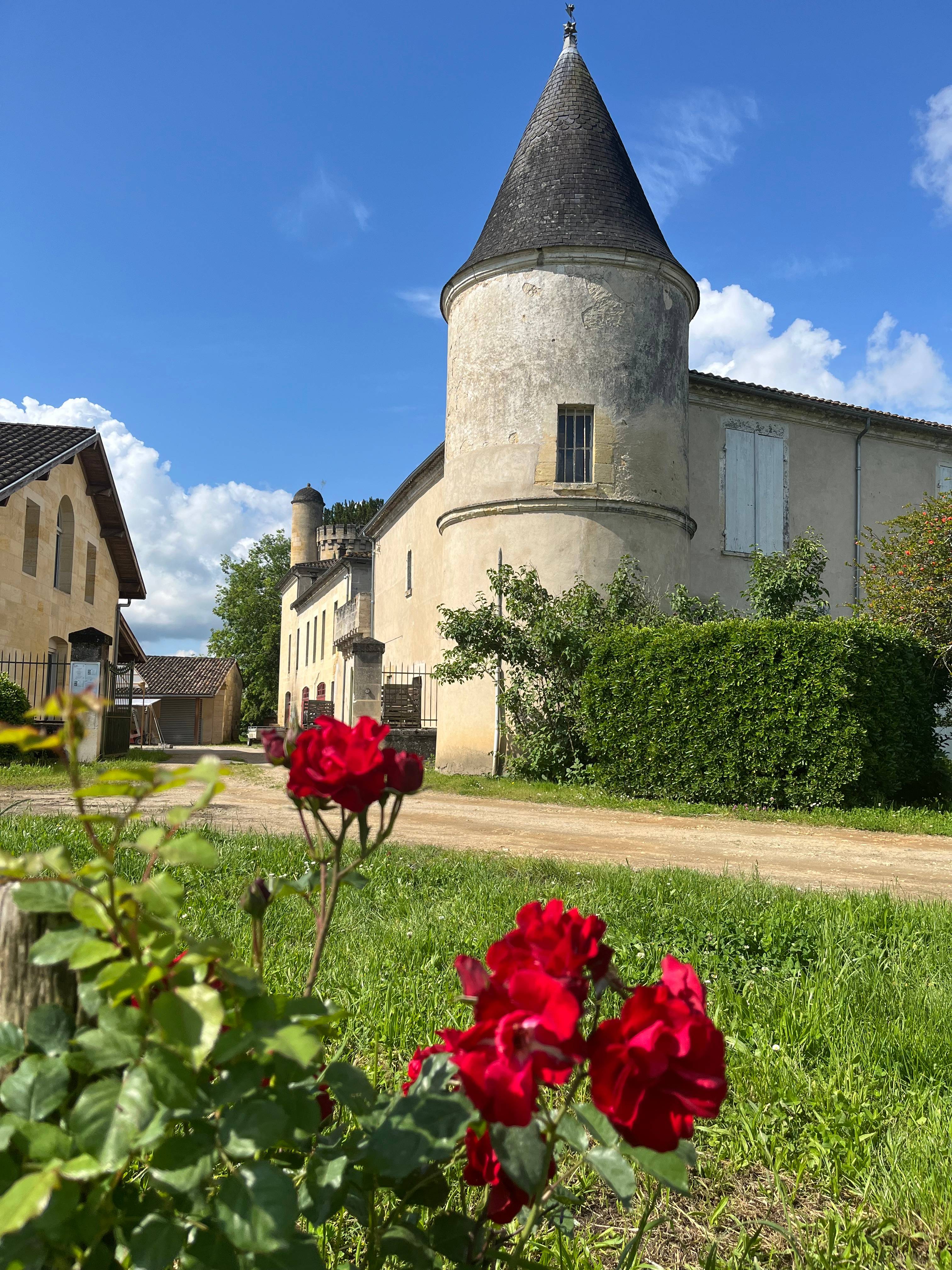 Wine & Chocolate Workshop