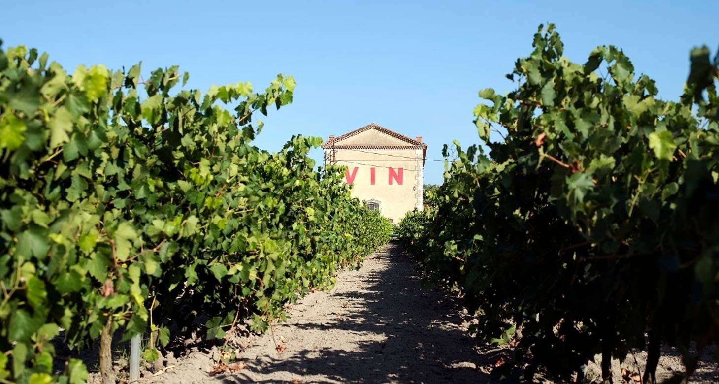 Visiter Nîmes : les incontournables à faire dans la ville des arènes - 2026 - 31 - visiter nimes visiter nimes - Visiter Nîmes : les incontournables à faire dans la ville des arènes - 2026 - 30