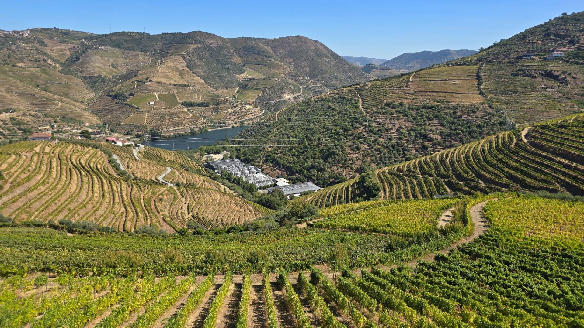 Let's Kombi - Winalist