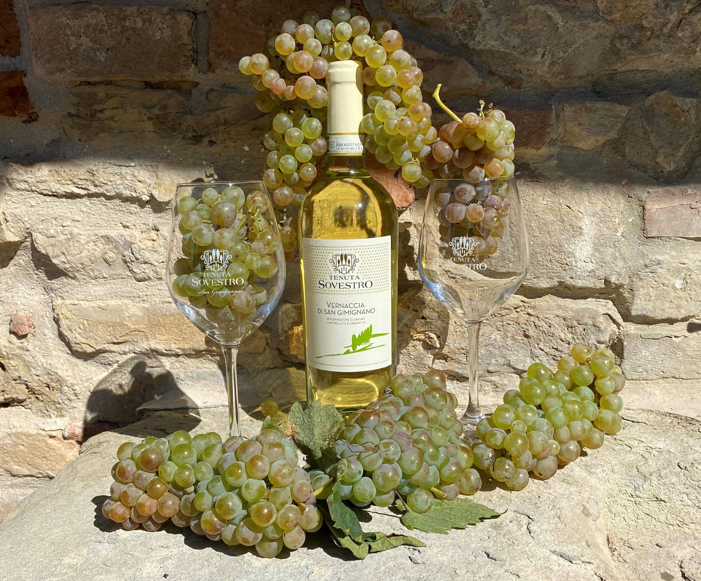 Onze 4 DOCG-wijnen - Tenuta Sovestro   San Gimignano - Winalist