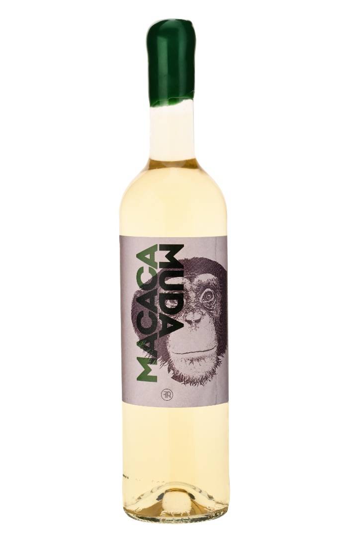 Macaca Muda