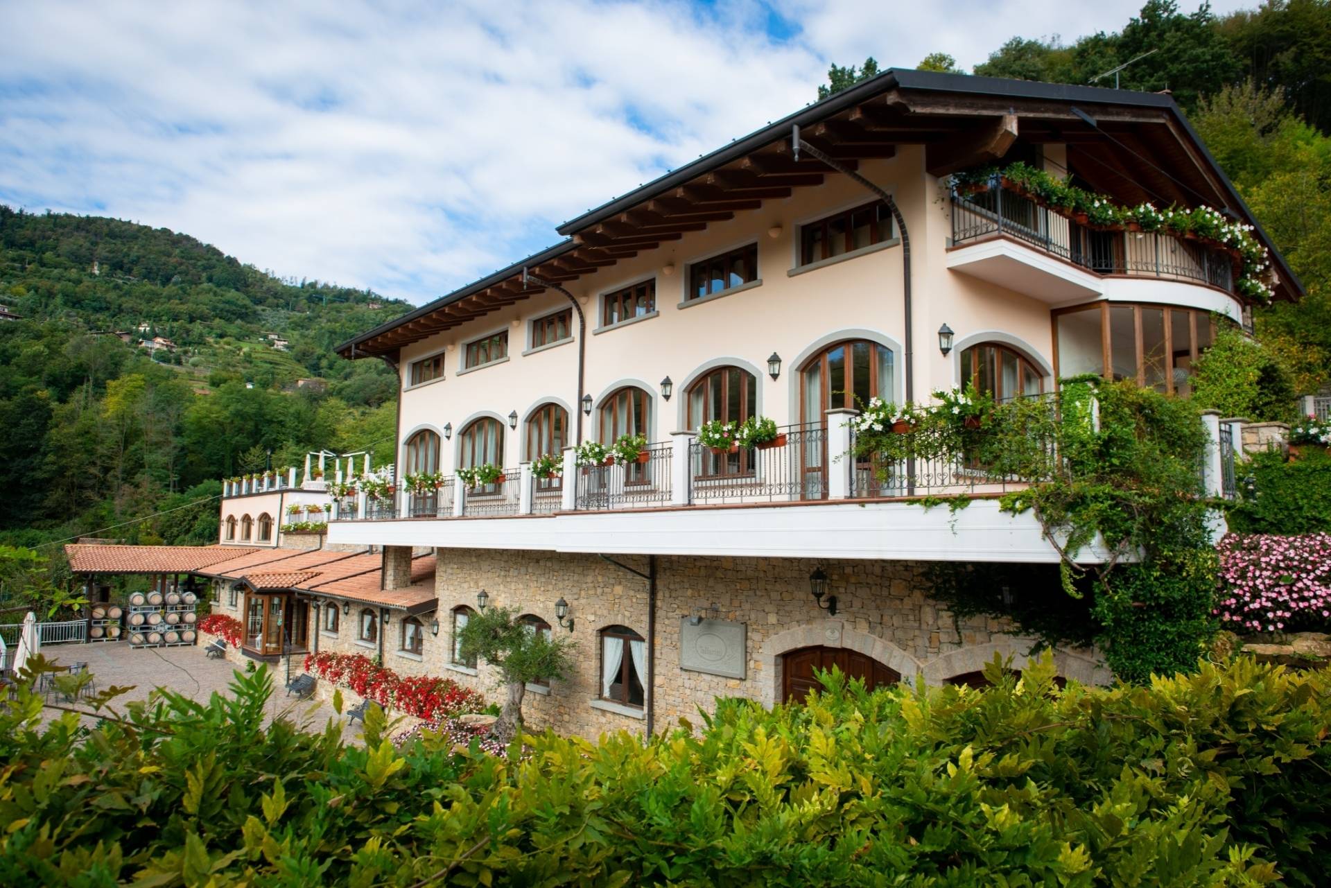 Tallarini Wine - Winalist