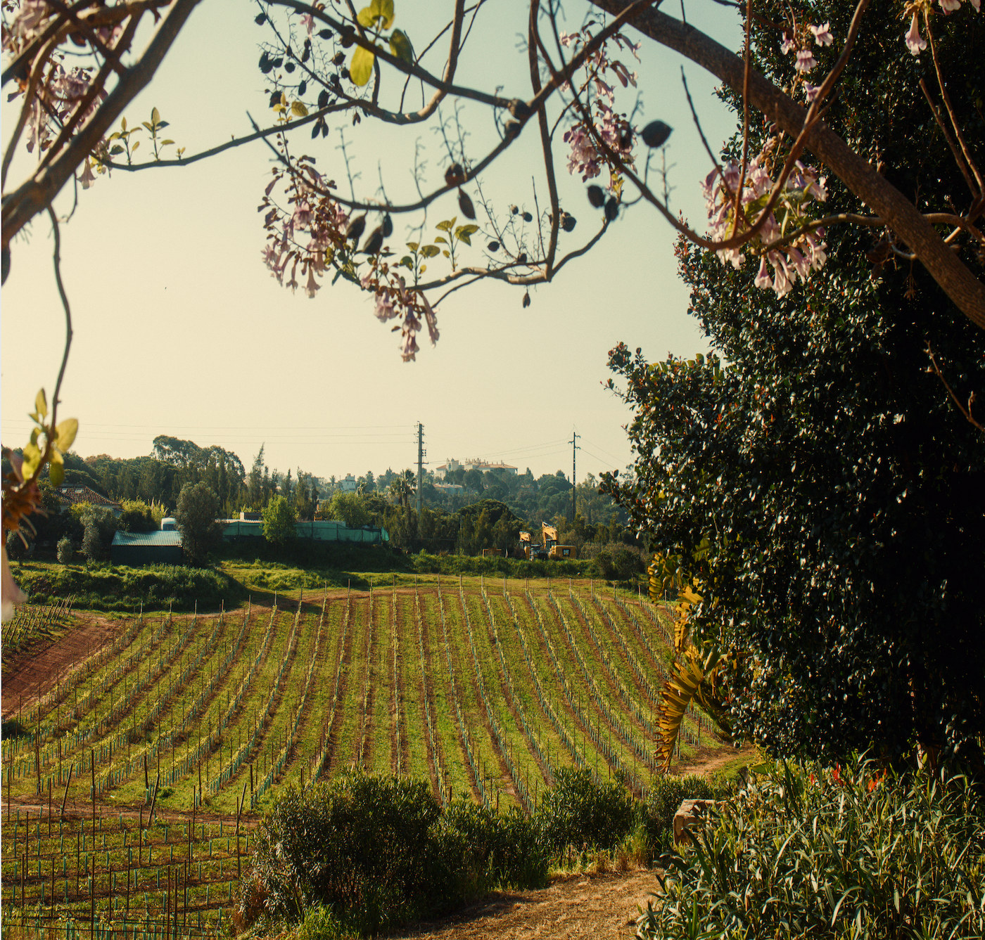 Quinta do Sol - Winalist