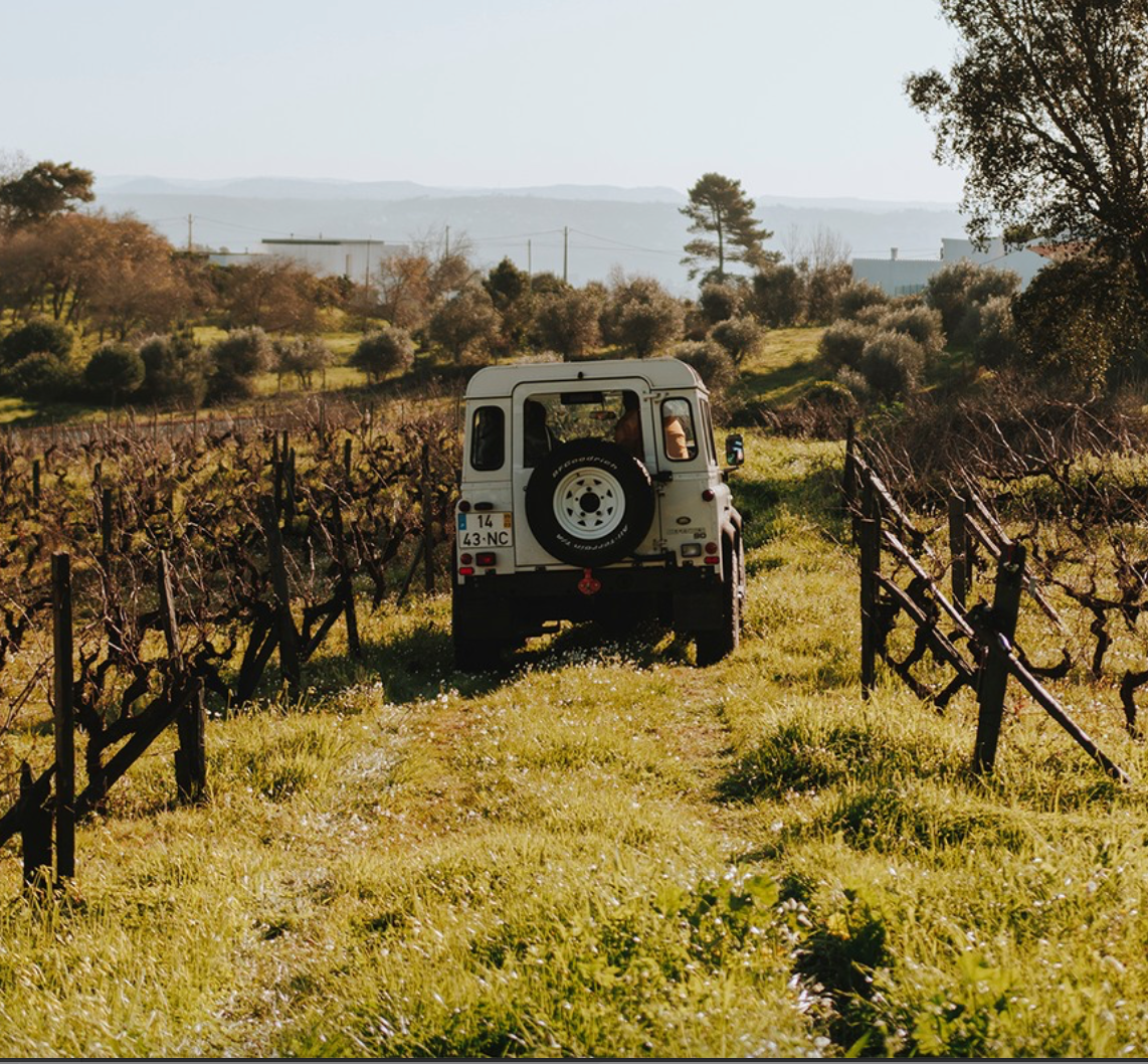 Margaval Vinhos - Winalist